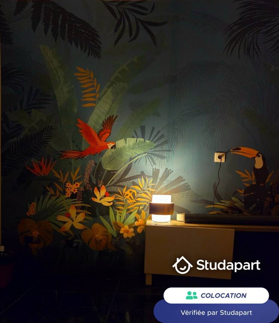 Private room for rent for €480 per month in Roubaix, Grande Rue