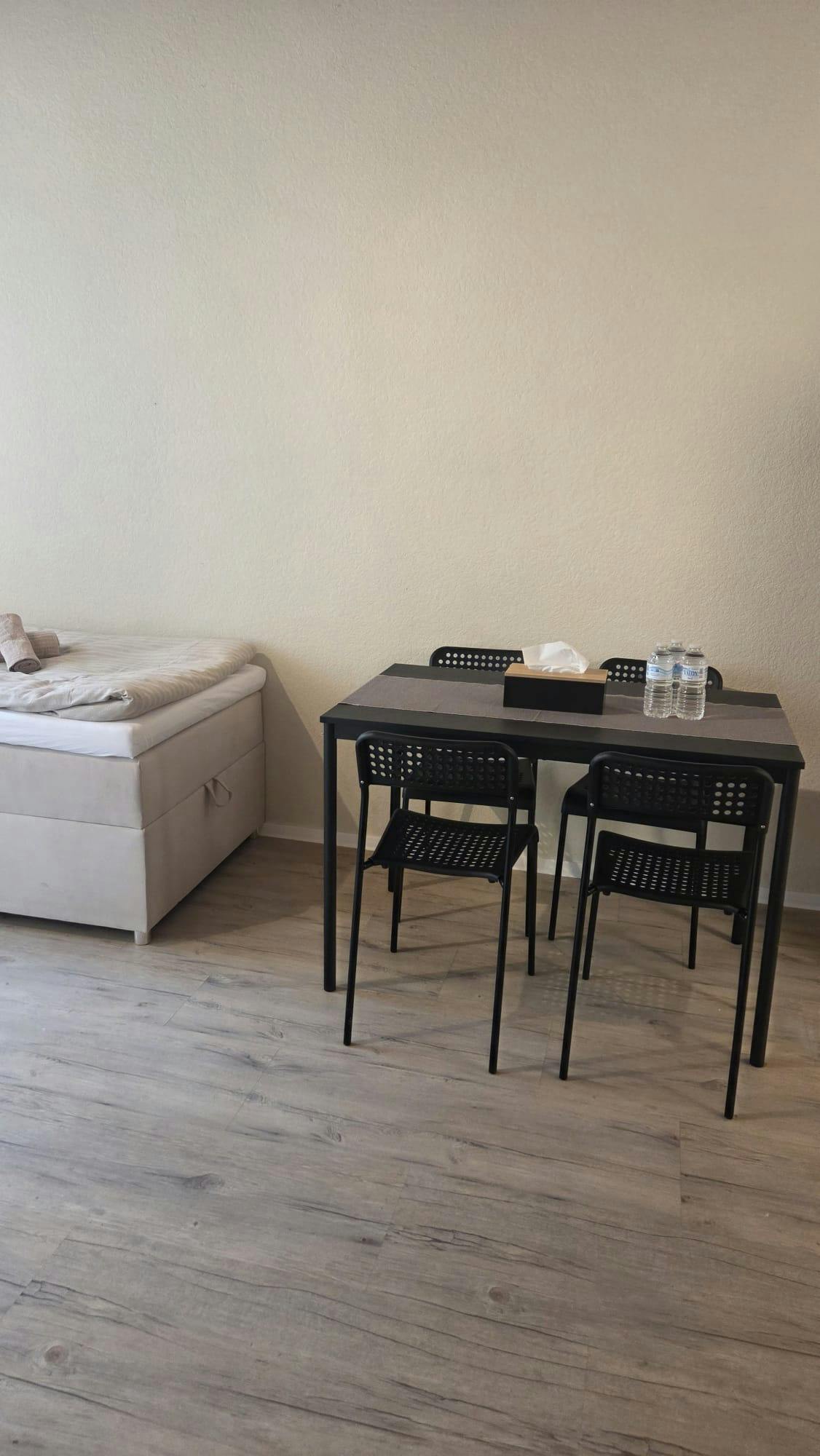 Apartment Mainz, 1 bed — photo 6