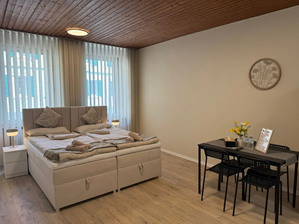 1-Bedroom Apartment in Römerstraße, Mainz (1647943) ROOM
