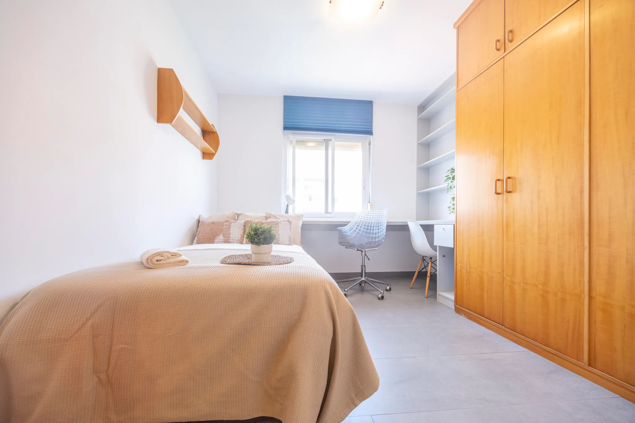 Avinguda de Blasco Ibáñez, Valencia preview