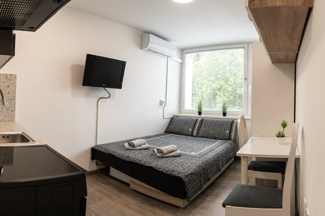 Studio zu mieten für 600 € pro Monat in Maribor, Kersnikova Ulica