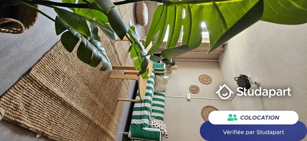 Private room for rent on Boulevard des États-Unis, Lyon - Visning 4
