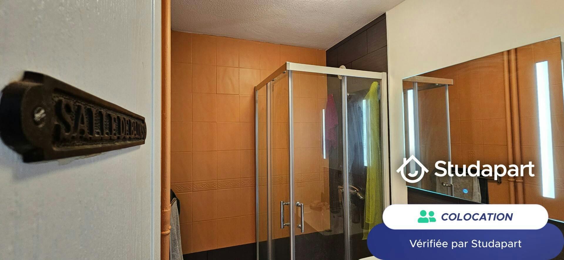 Private room for rent on Boulevard des États-Unis, Lyon - Vue 5
