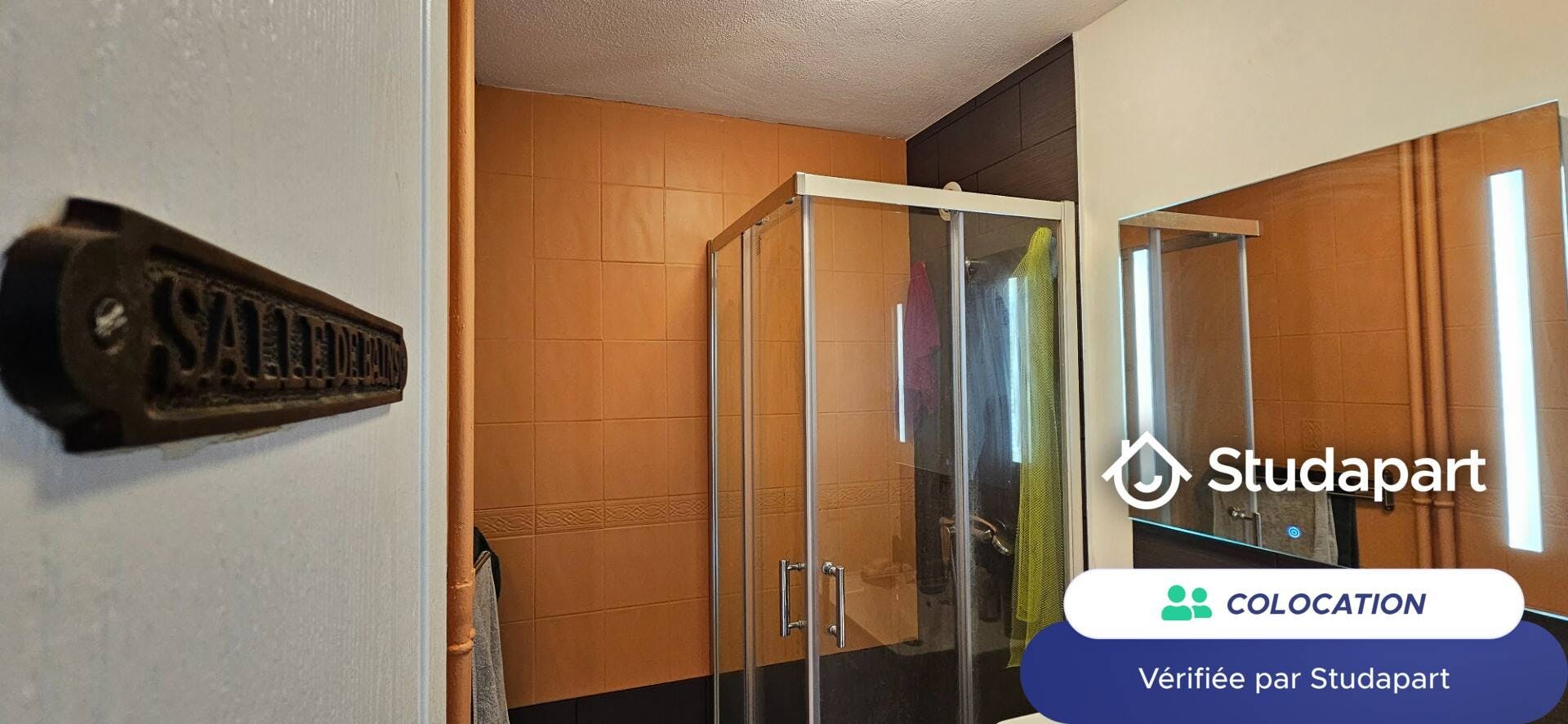 Private room for rent on Boulevard des États-Unis, Lyon - Visning 5