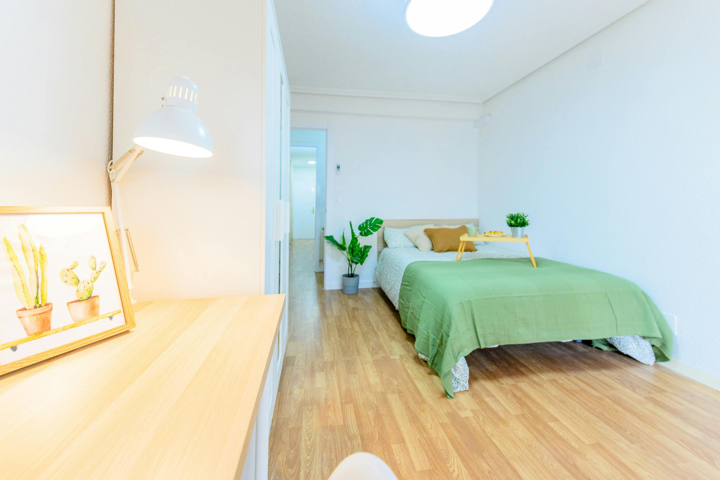 Single room Madrid, 1 bed, 18m² — photo 7