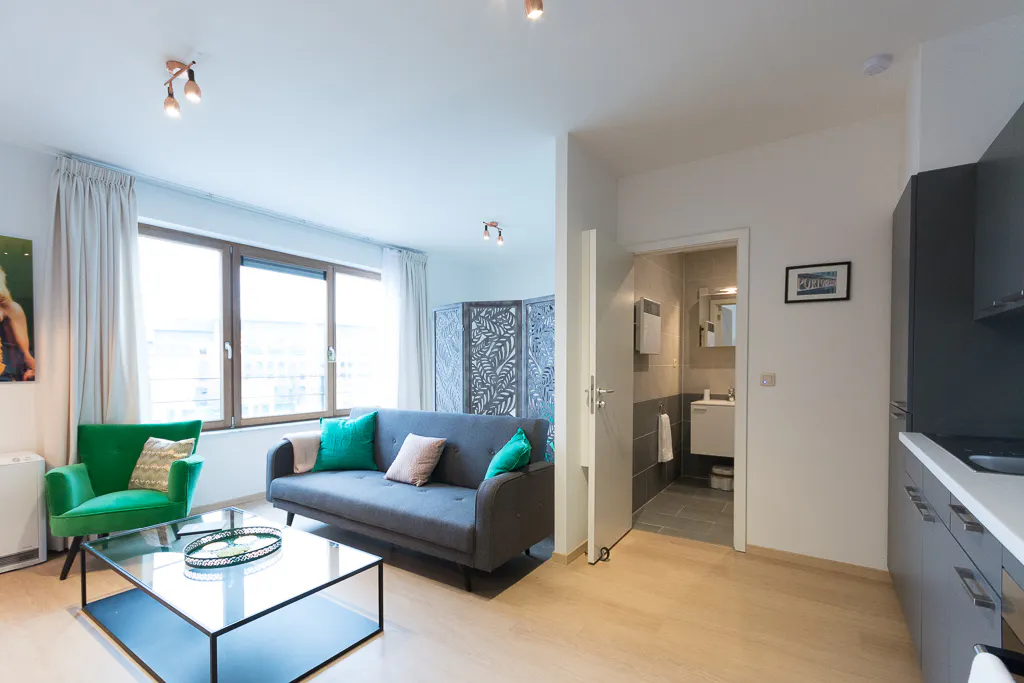 Apartment in Boulevard du Neuvième de Ligne, Brussels (1650293) ROOM