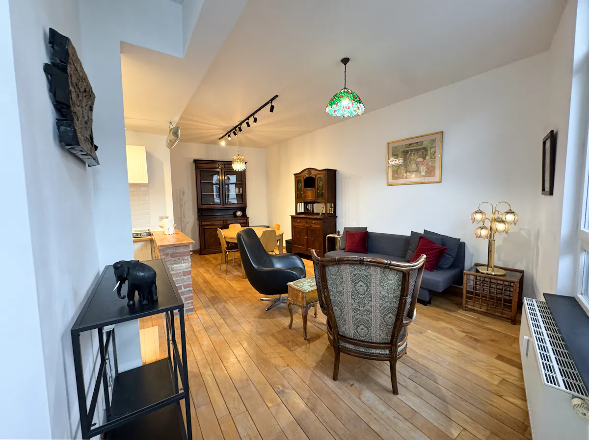 1-Bedroom Apartment in Rue de Barchon, Brussels (1650425) ROOM