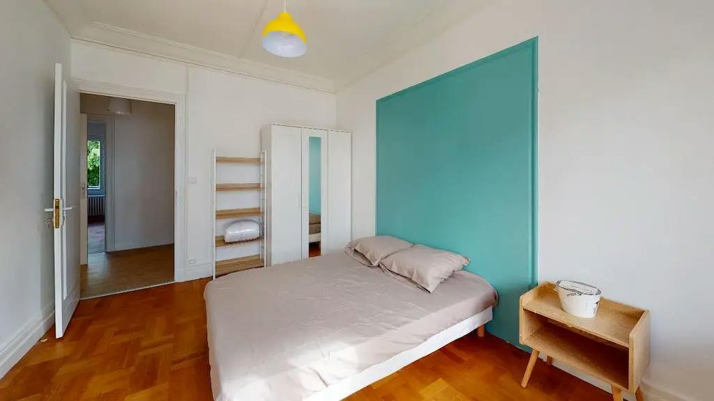Private room in Rue Pierre Delore, Lyon (1650775) ROOM 1