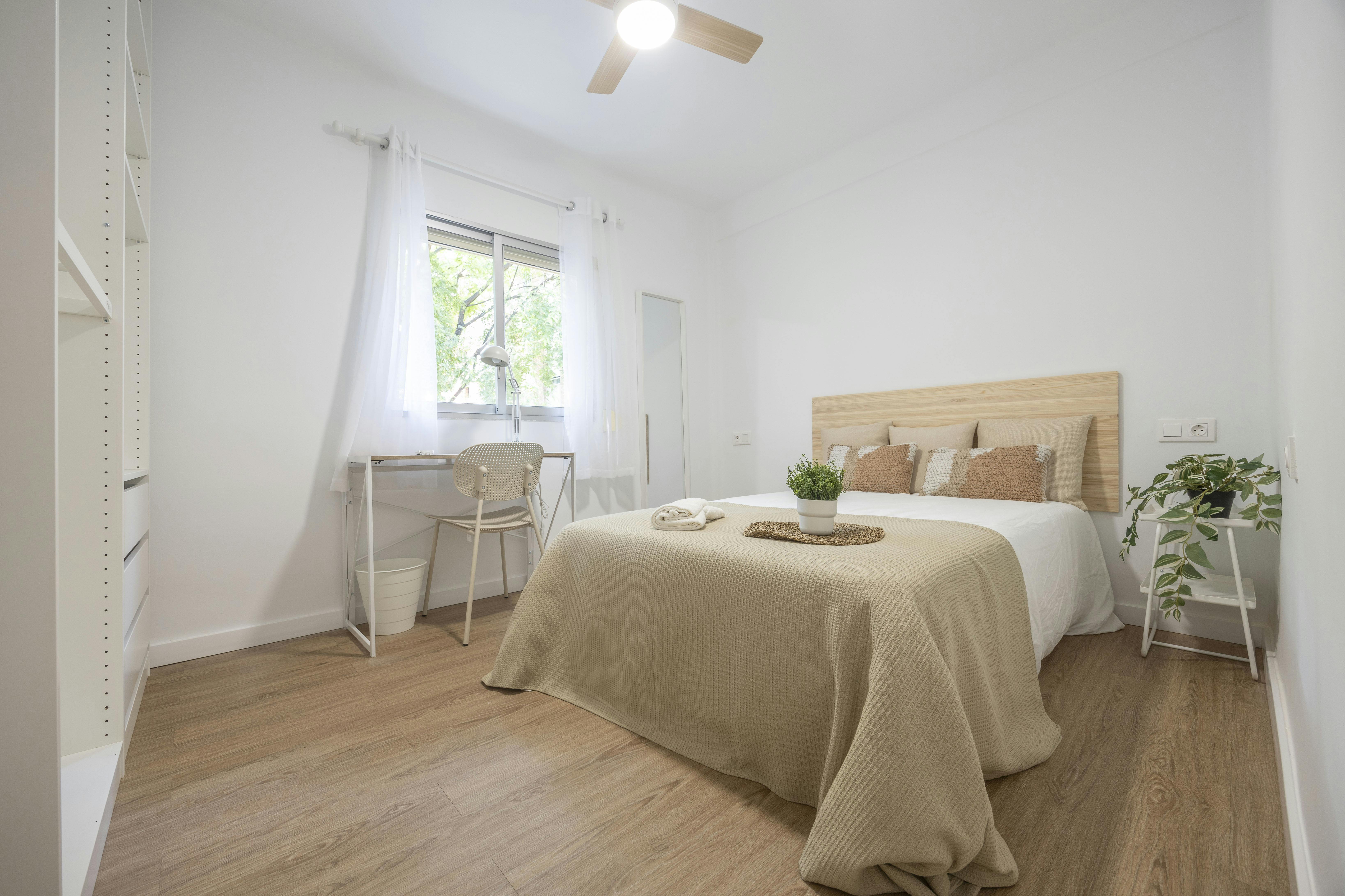 Carrer Pintor Nicolau, Valencia Valencia