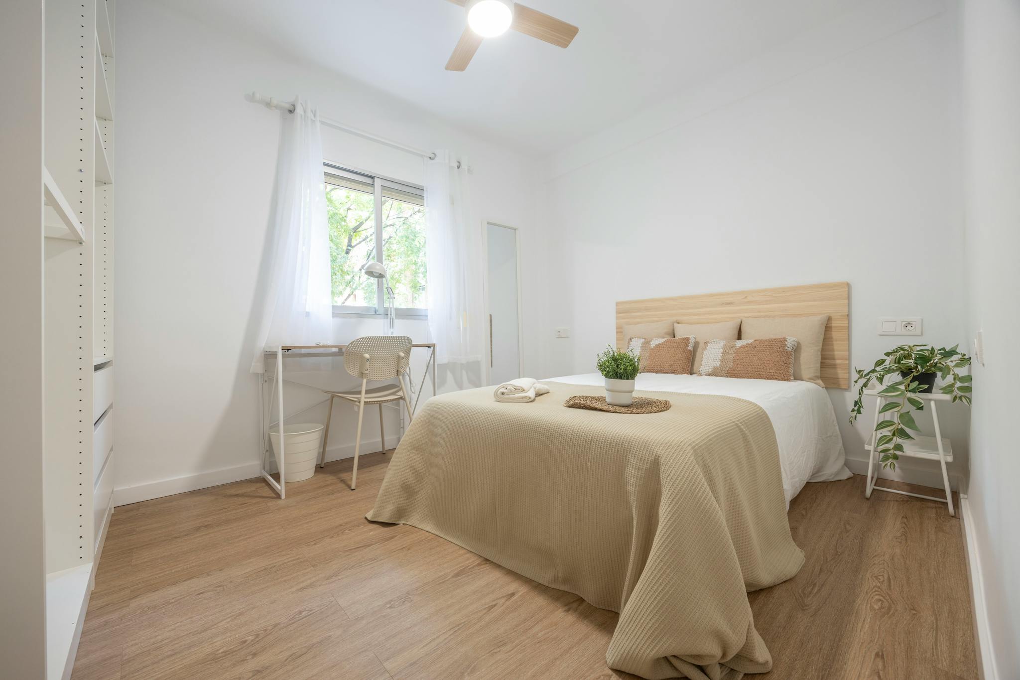 Carrer Pintor Nicolau, Valencia preview