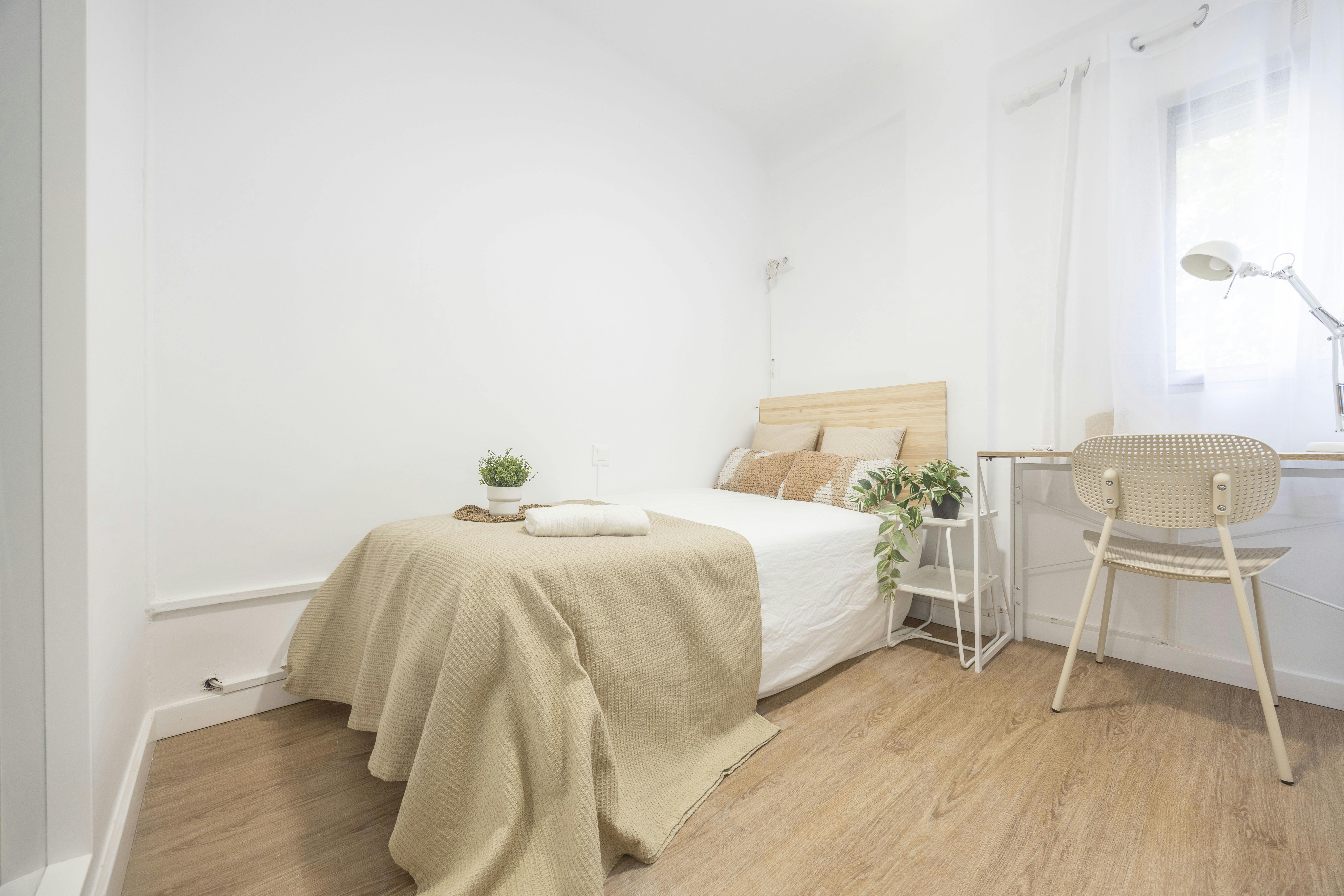 Carrer Pintor Nicolau, Valencia Valencia