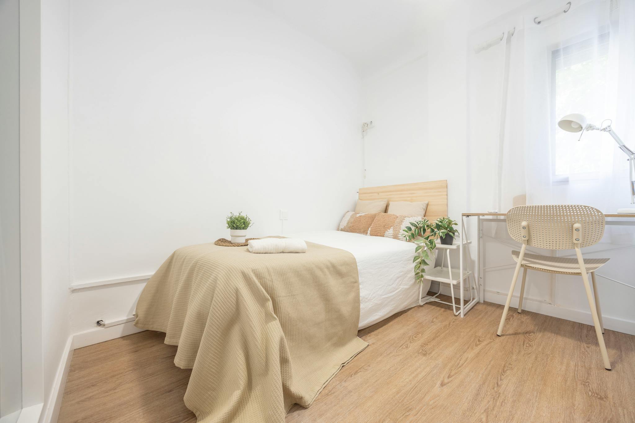 Carrer Pintor Nicolau, Valencia preview