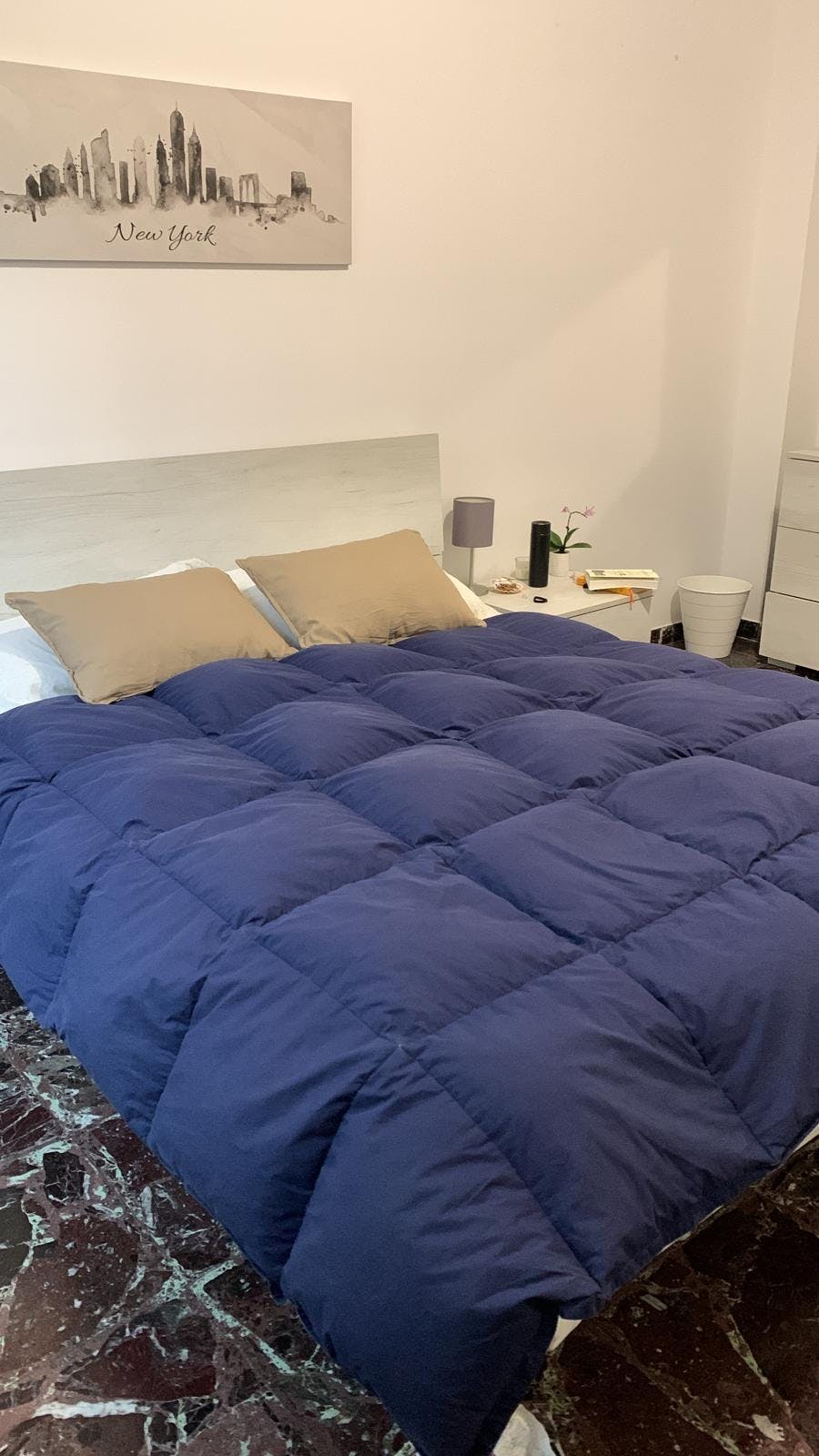 Via Domenico Cimarosa, Florence preview