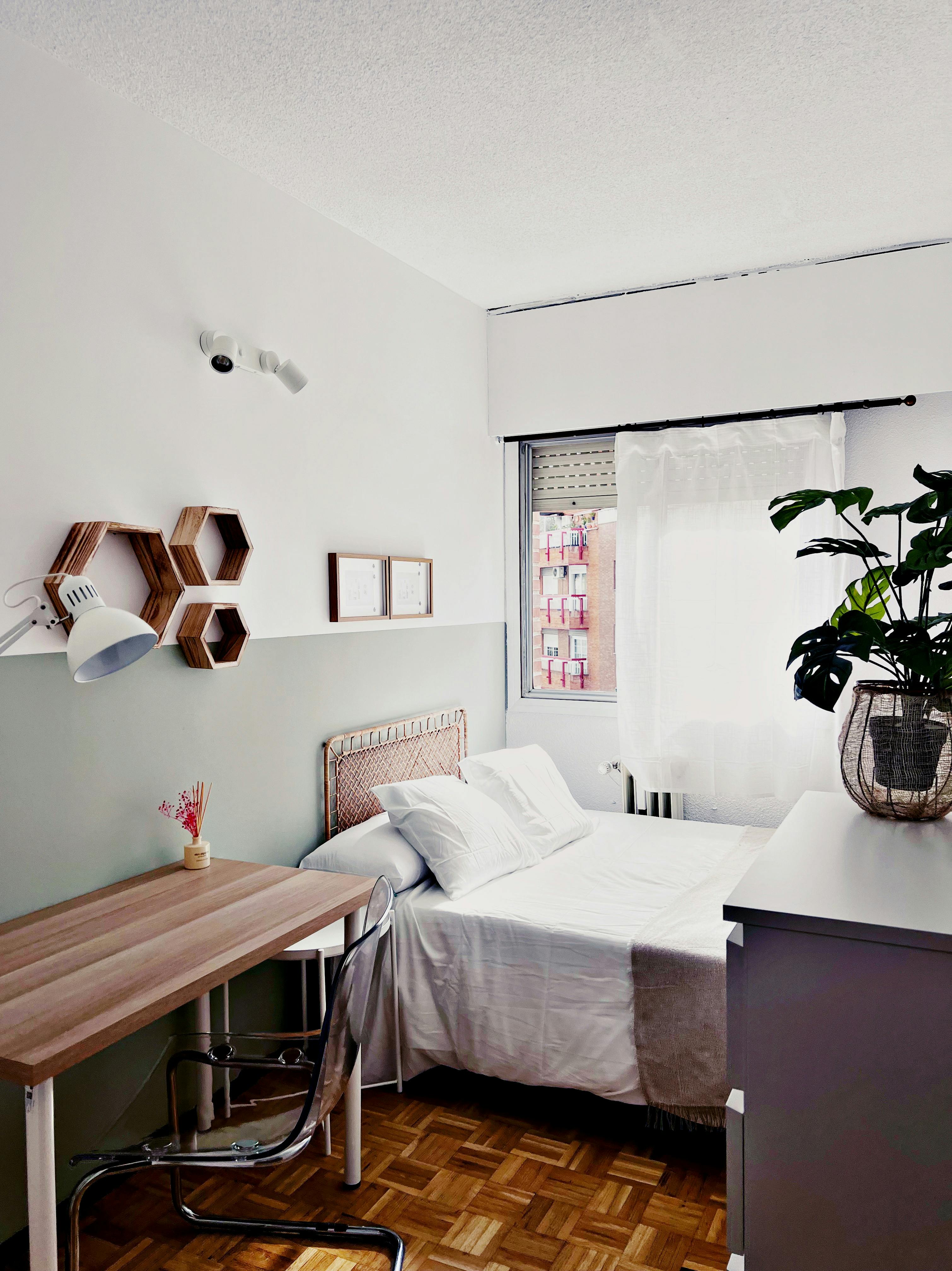 Single room Madrid, 1 bed, 10m² — photo 18