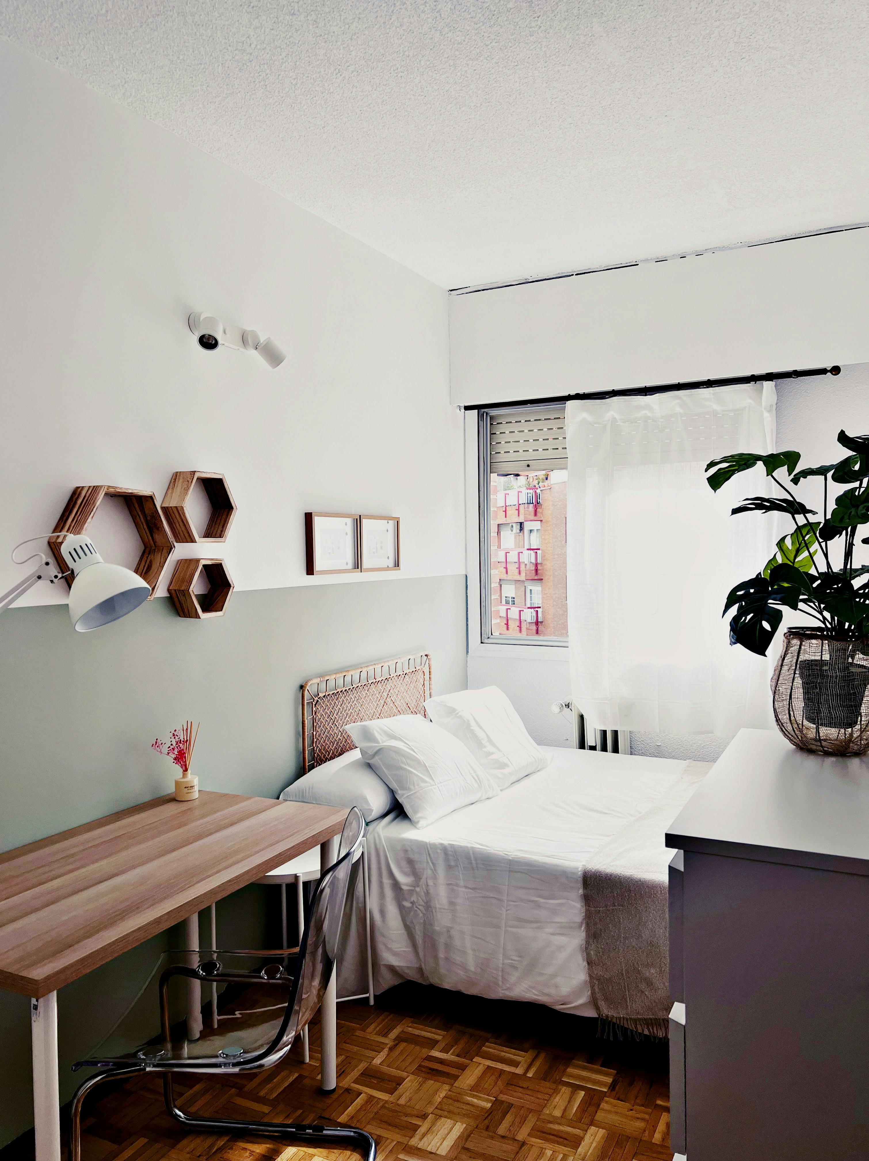Single room Madrid, 1 bed, 10m² — photo 16