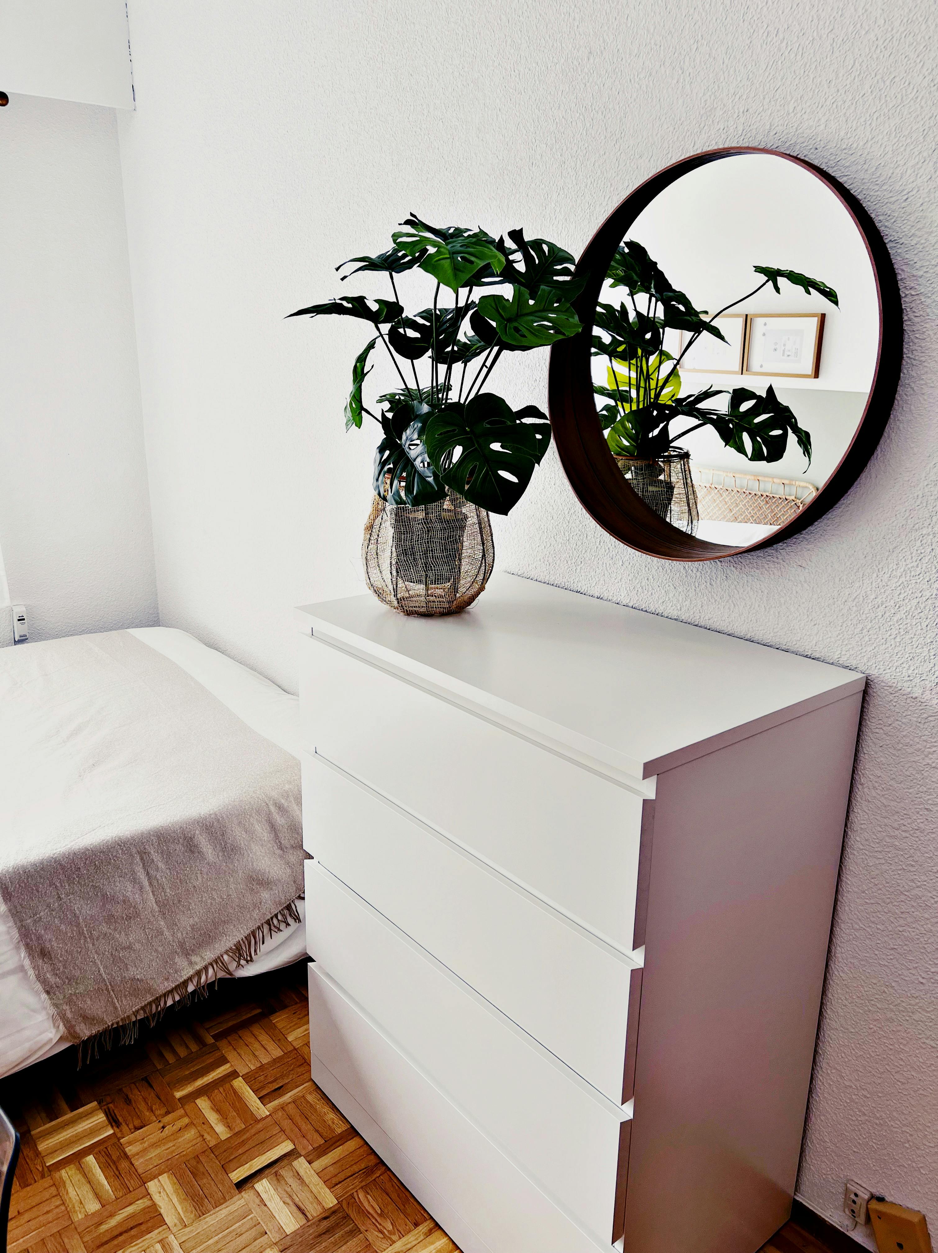 Single room Madrid, 1 bed, 10m² — photo 24