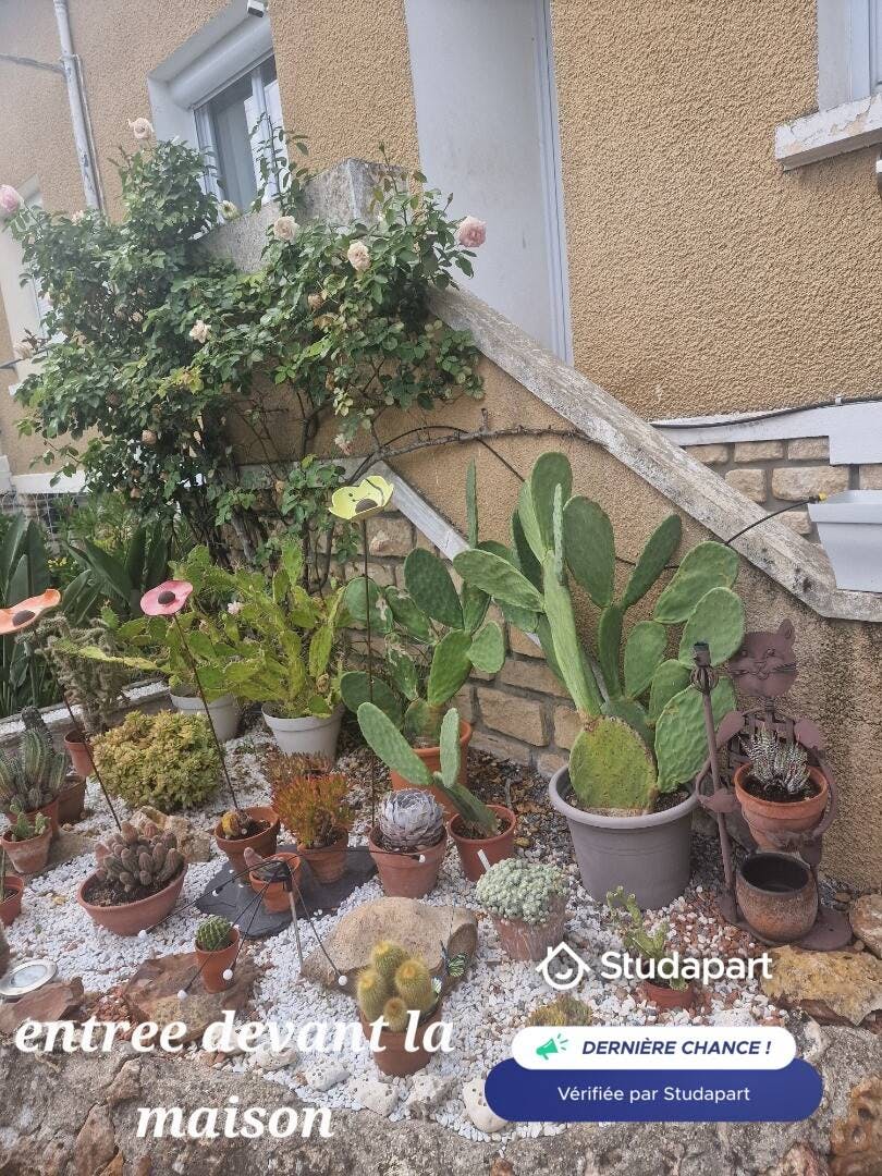 Private room for rent for €420 per month in Châtellerault, Rue de l'Abbé Péan