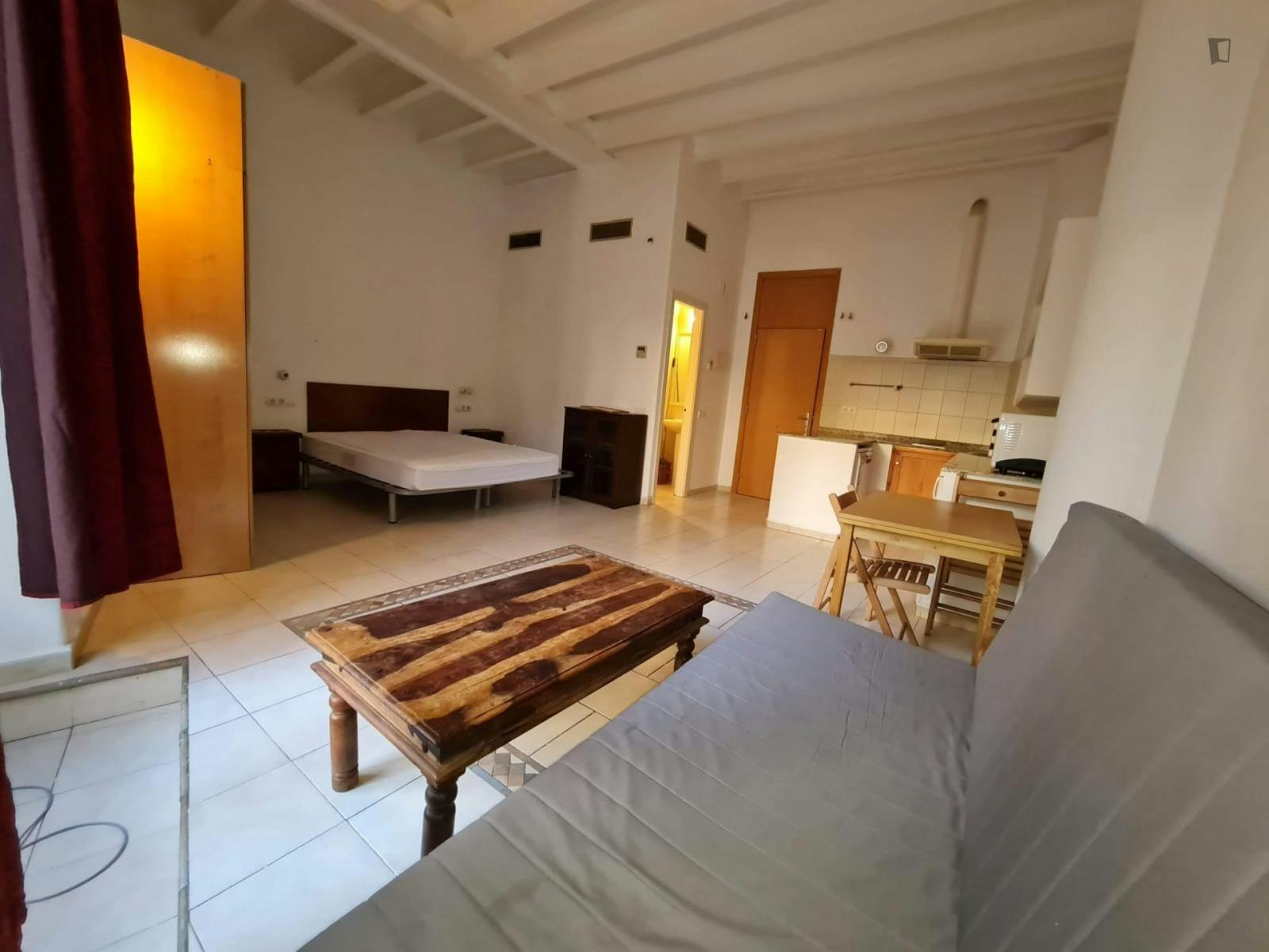 Monolocale in affitto a 1200 € al mese a Barcelona, Carrer Nou de la Rambla