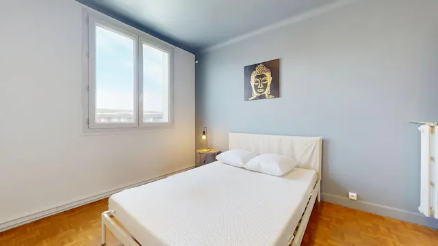 Private room in Boulevard Cote Blatin, Clermont-Ferrand (1652893) room image 2