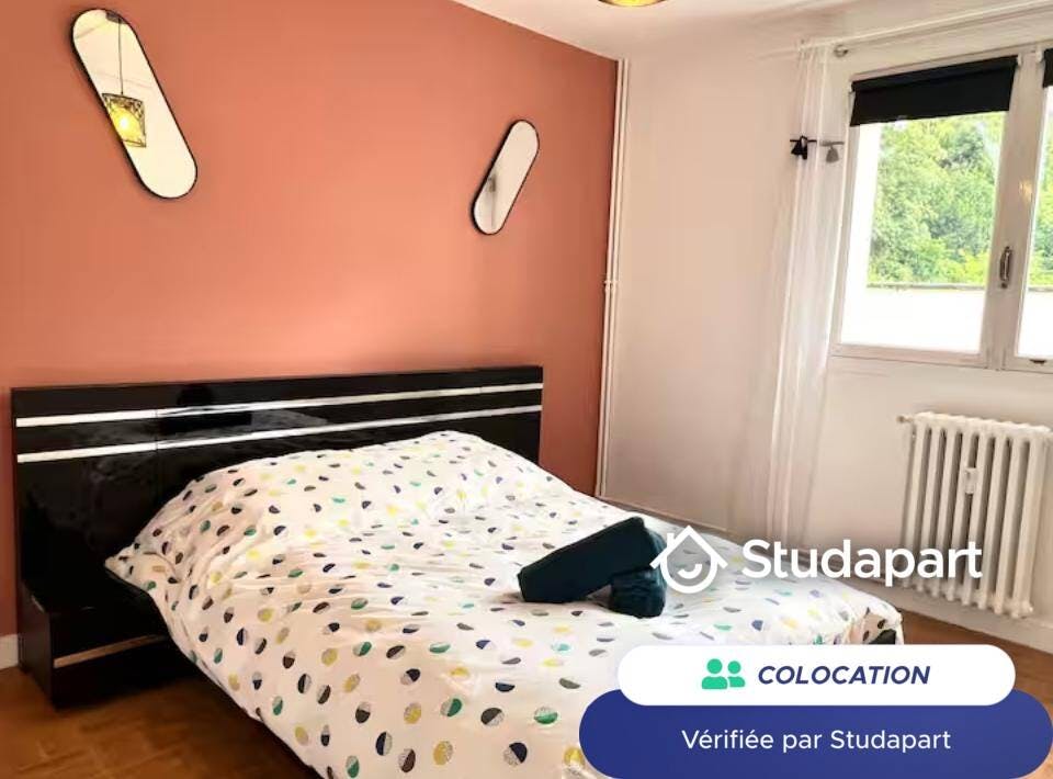 Private room for rent for €550 per month in Poitiers, Boulevard Pont Achard