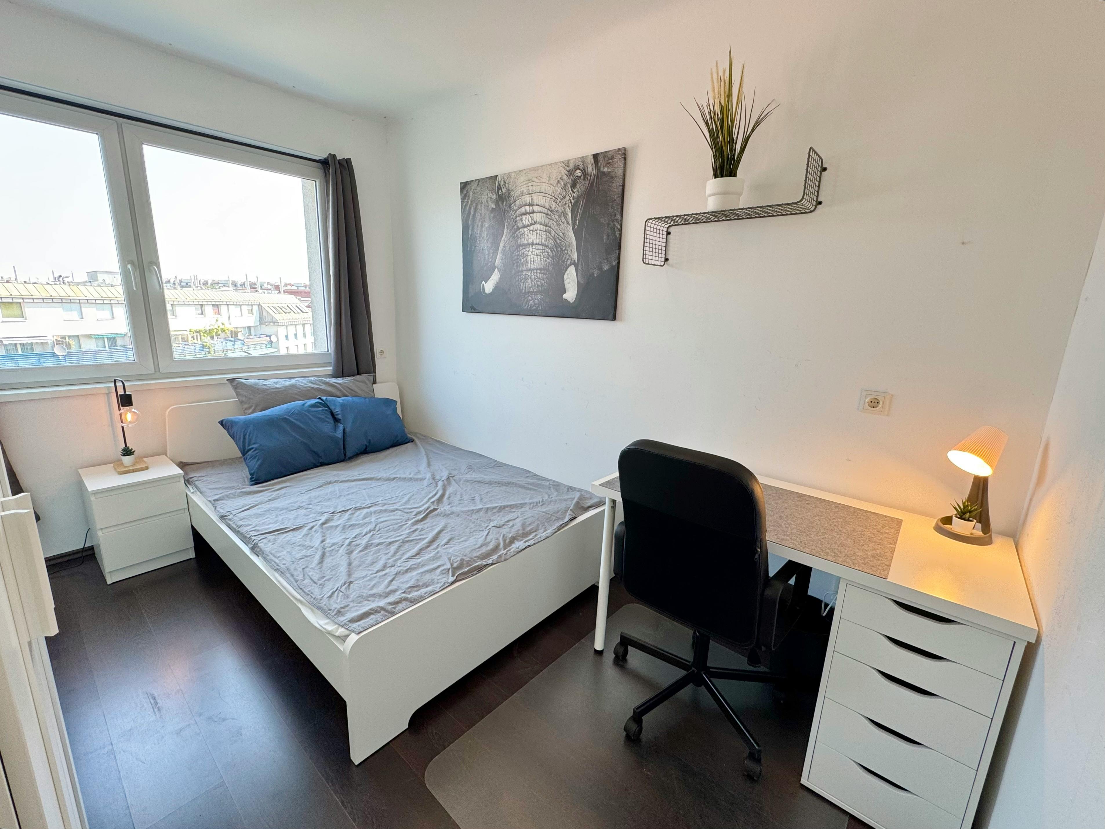 Single room Vienna, 1 bed, 9m² — photo 2