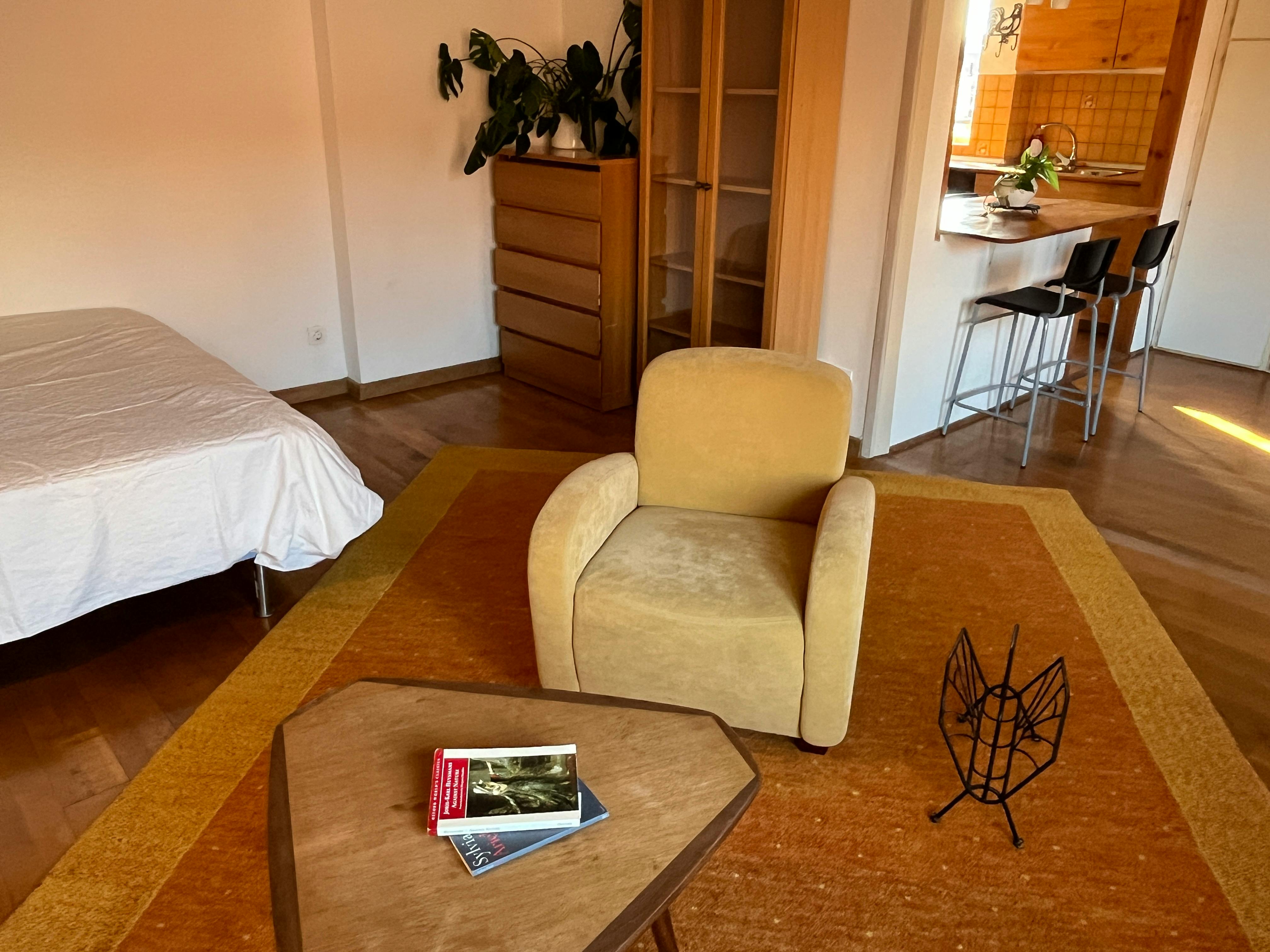 Apartment Budapest, 1 bed — photo 1