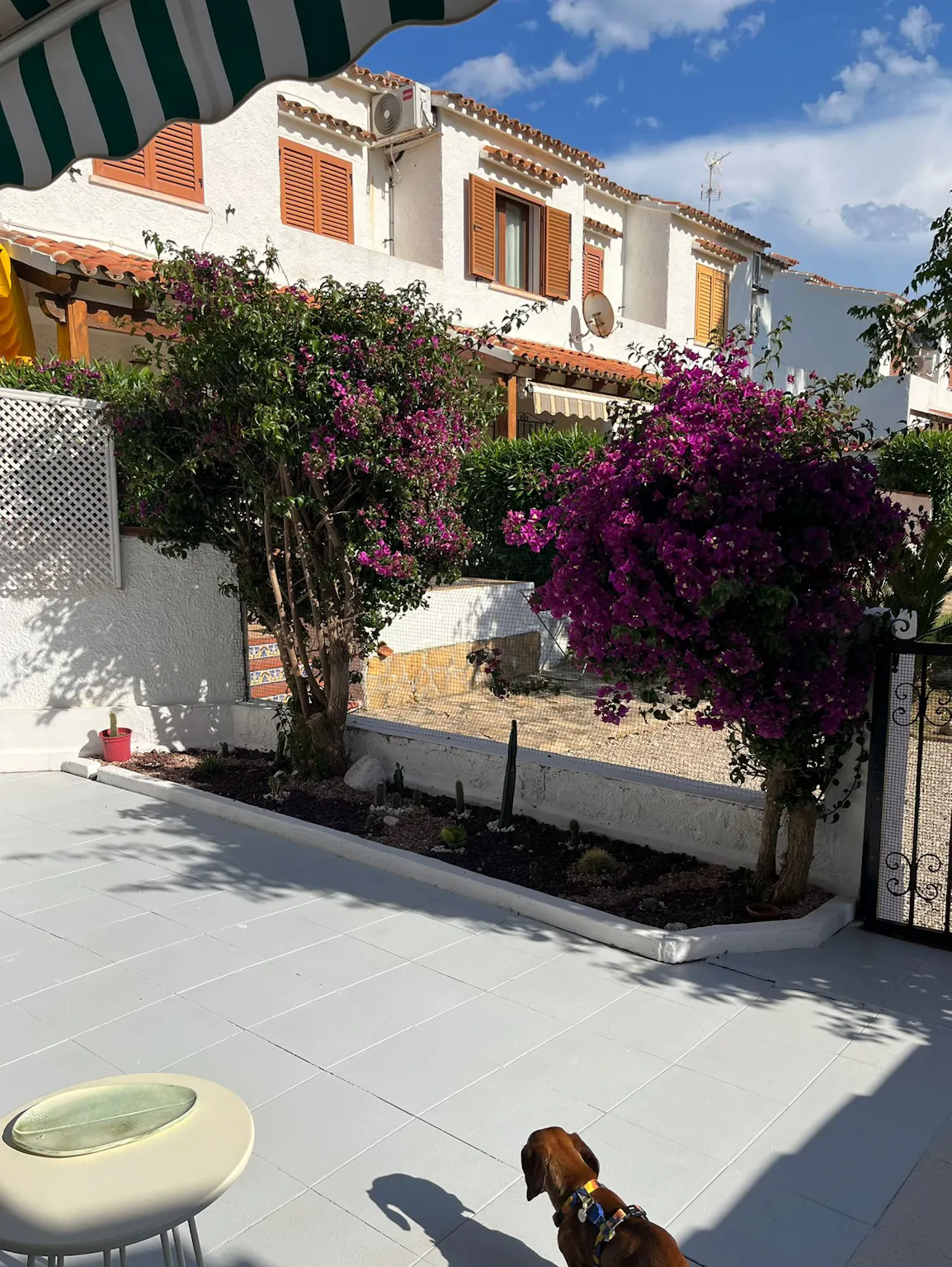 2-Bedroom House in Partida Platja Almadrava, Alicante (1654464) ROOM 4
