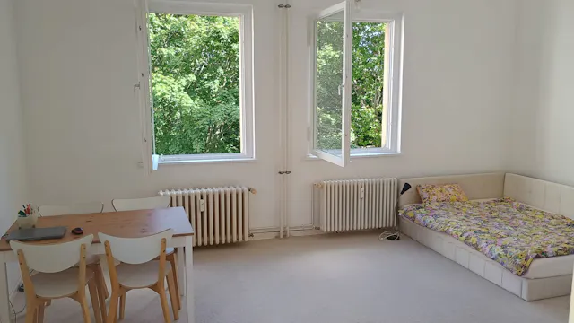 1-Bedroom Apartment in Baumeisterstraße, Berlin (1654884) room image 1