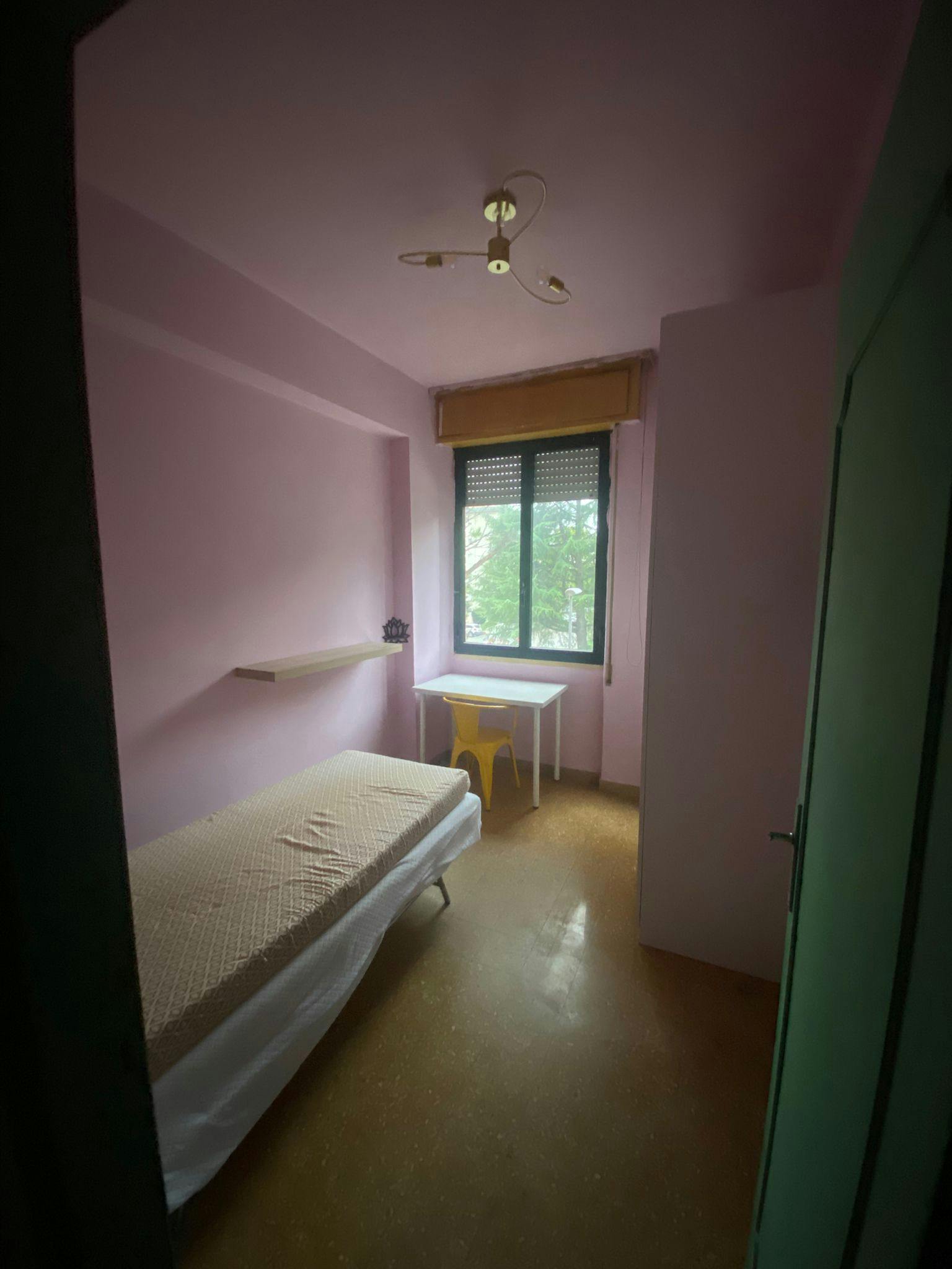 Via Donato Bramante, Pisa preview