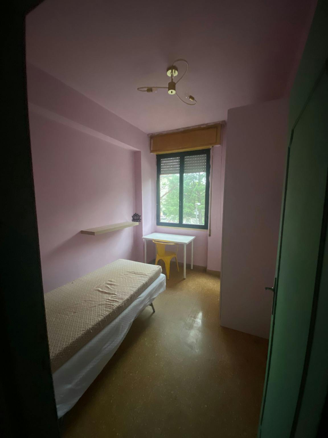 Via Donato Bramante, Pisa preview