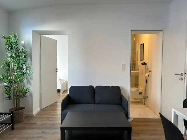1-Bedroom Apartment in Weinbergstraße, Offenbach (1655333) room image 2