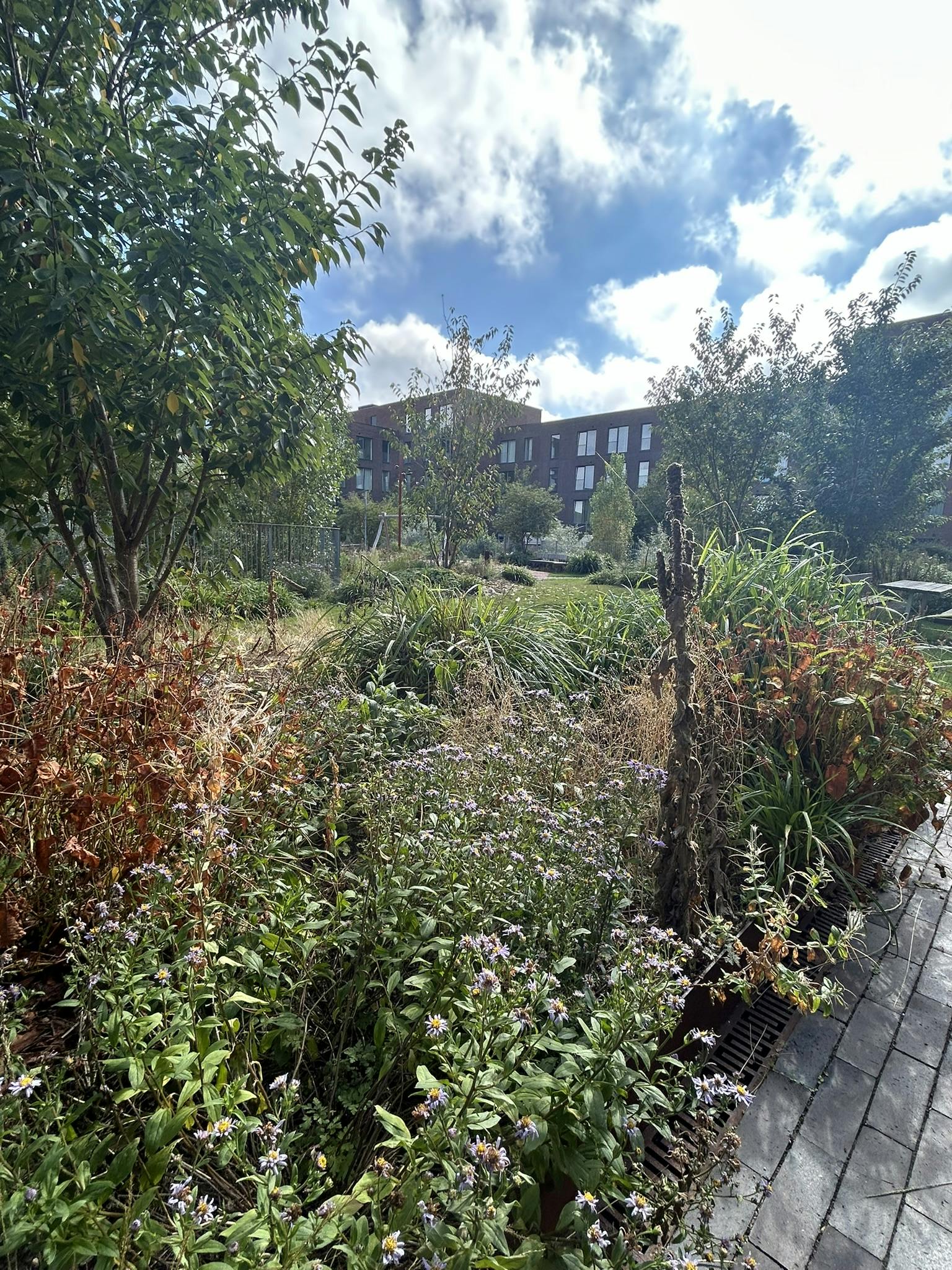 preview gallery tile