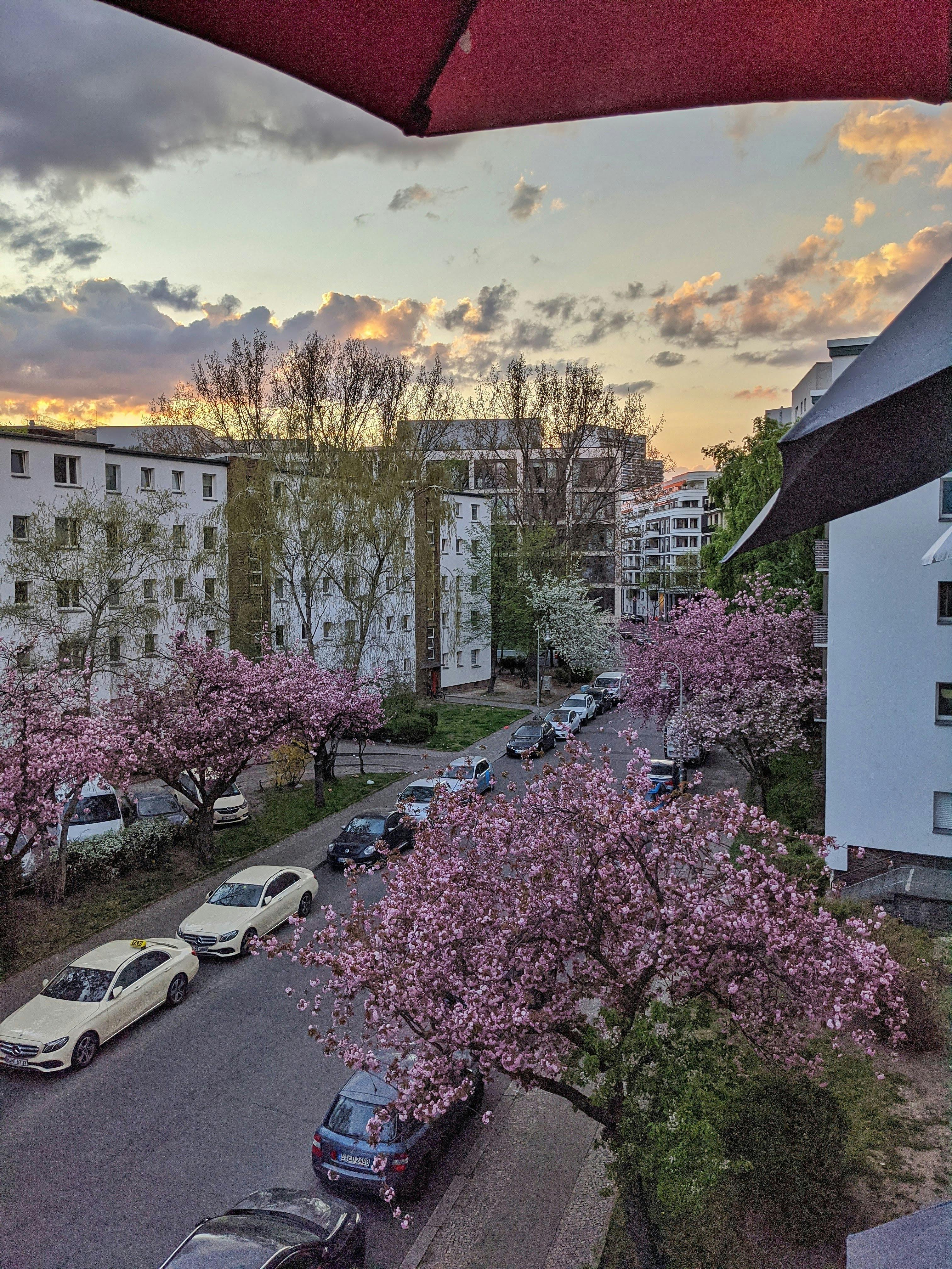 Apartment Berlin, 1 bed — photo 12