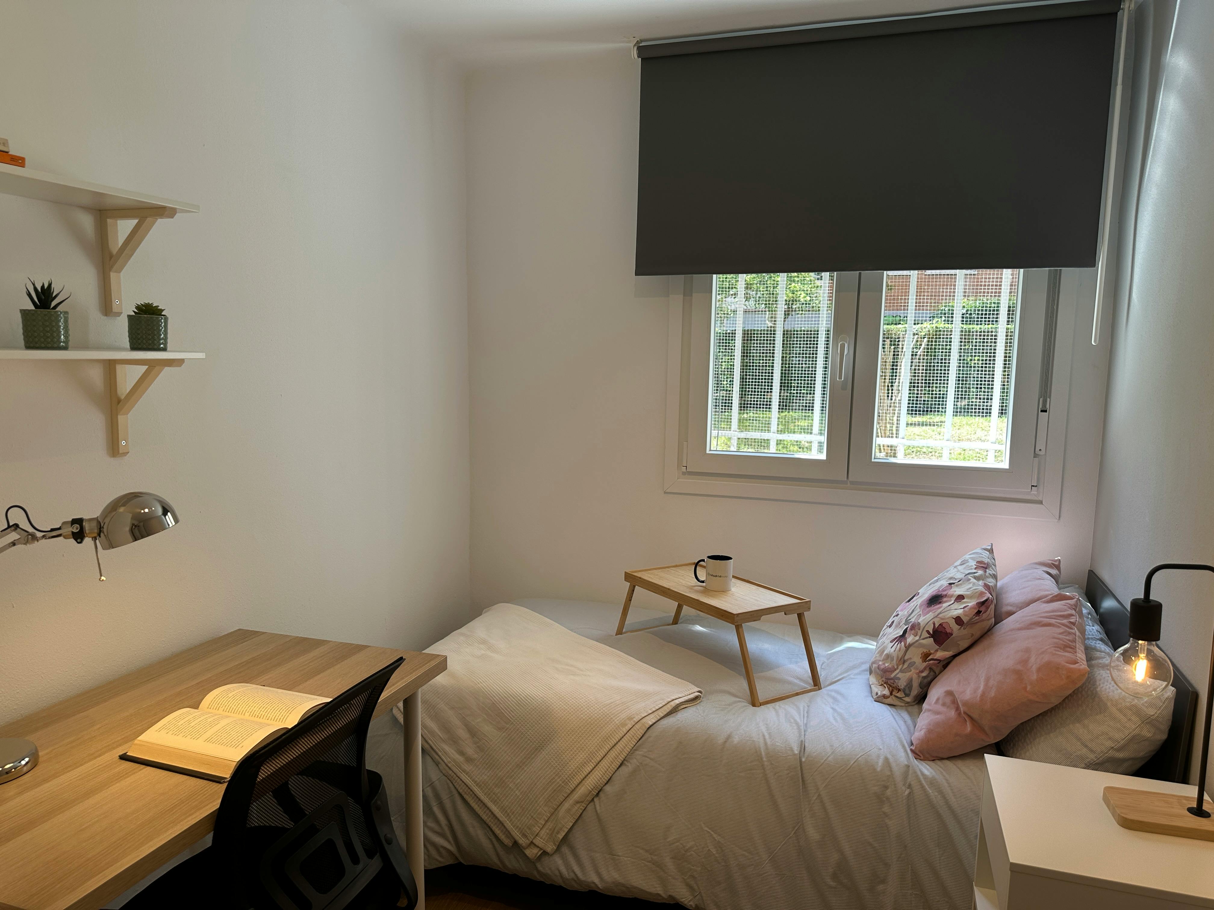 Single room Madrid, 1 bed — photo 6