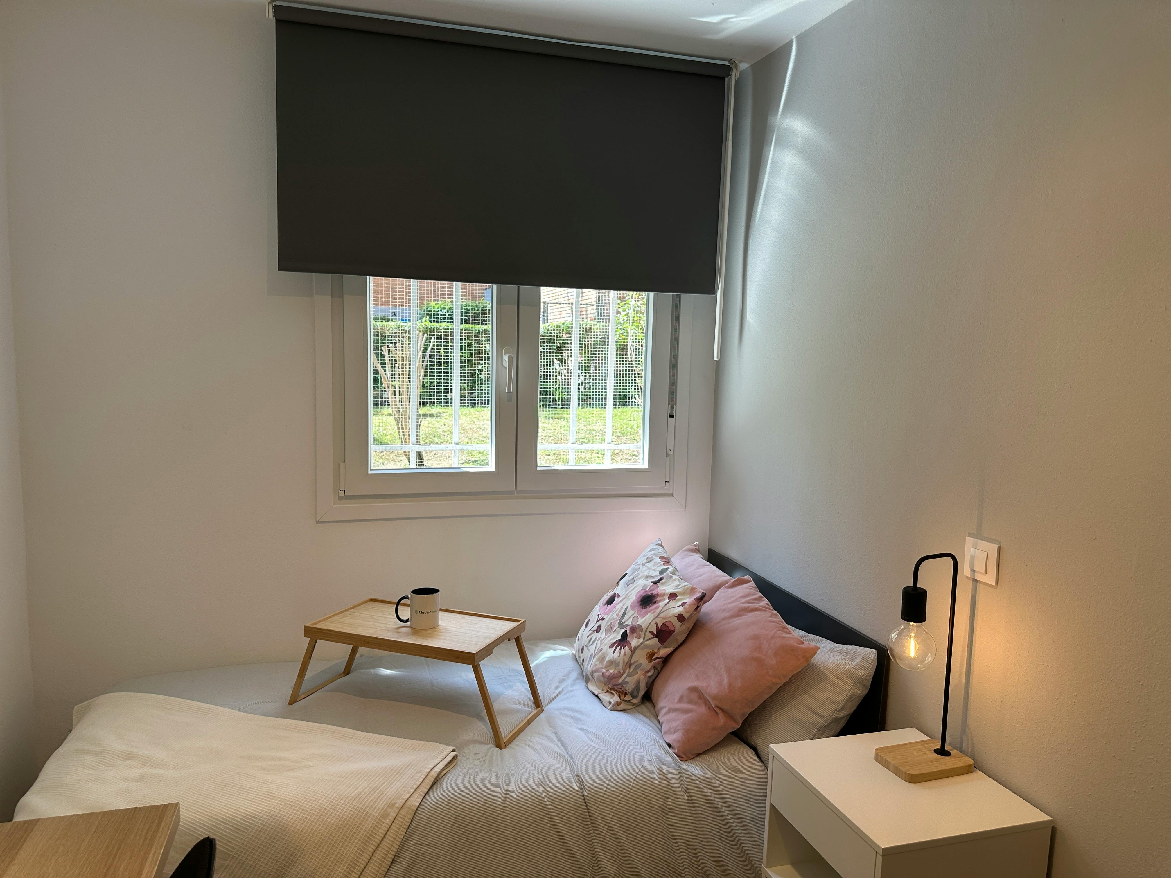 Single room Madrid, 1 bed — photo 3