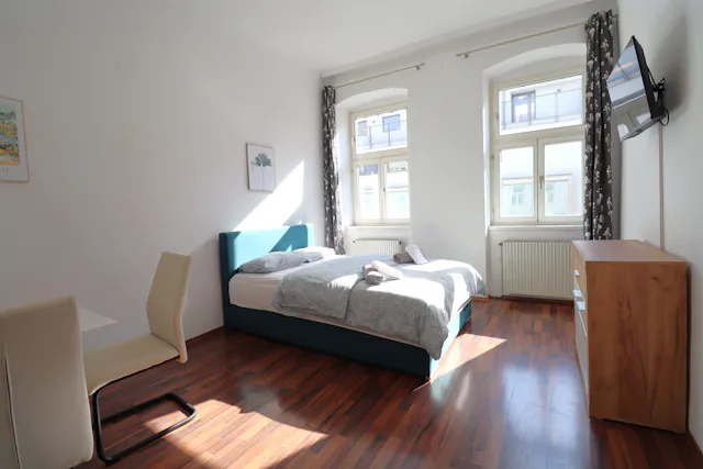 1-Bedroom Apartment in Schweidlgasse, Vienna (1656383) room image 1
