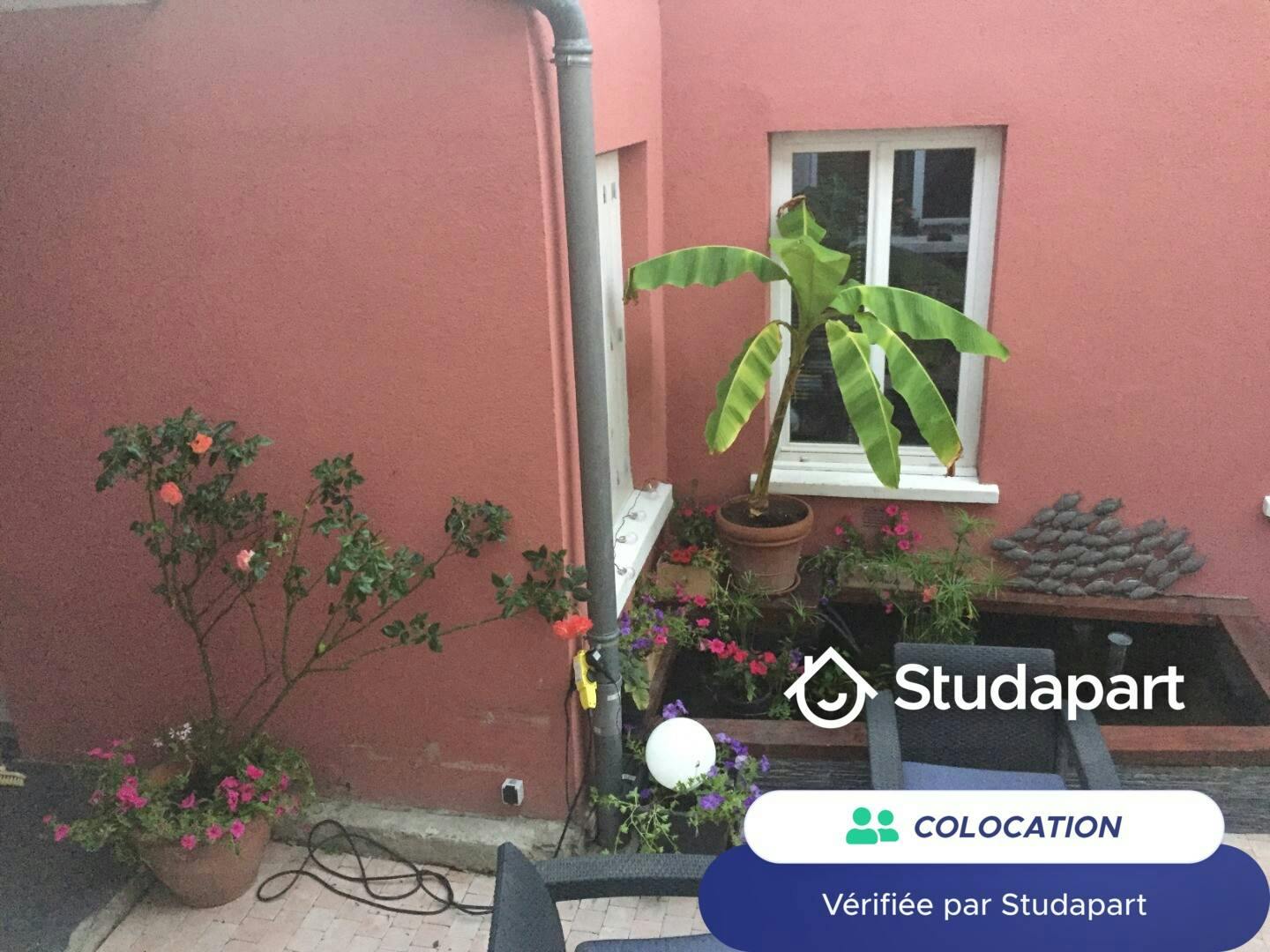 Private room for rent for €790 per month in Sèvres, Rue de ville d'Avray