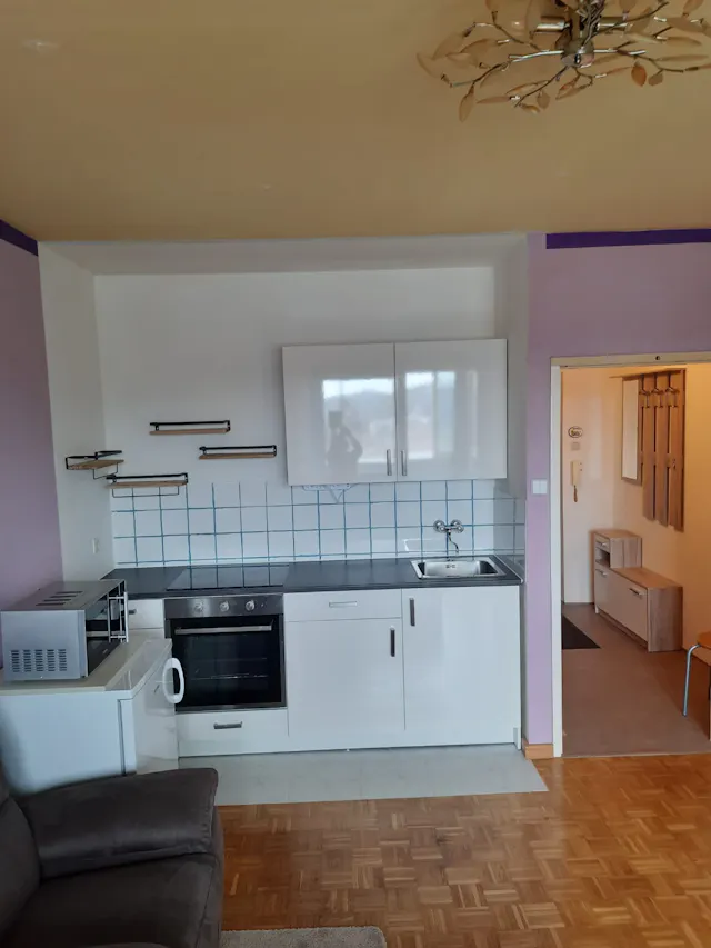1-Bedroom Apartment in Kremplstraße, Linz (1657048) room image 2