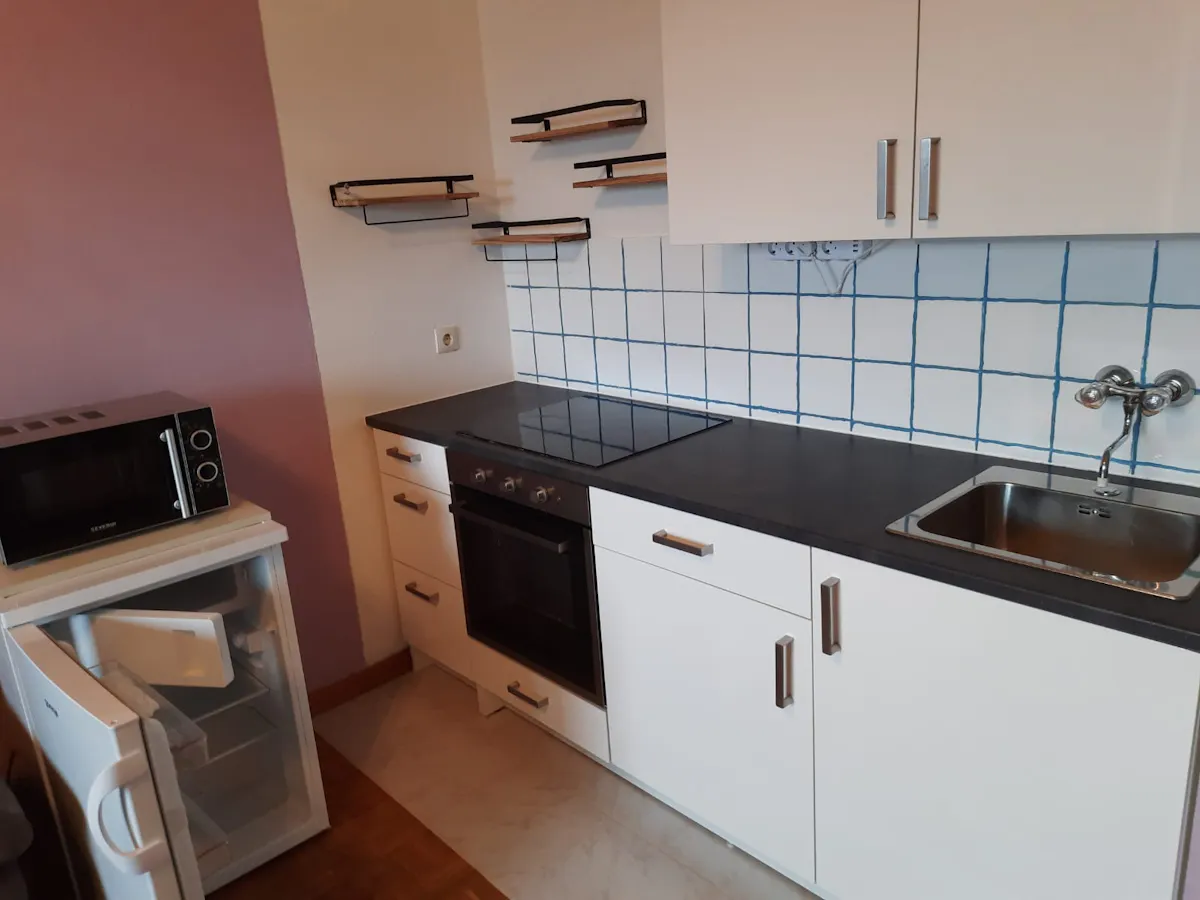 1-Bedroom Apartment in Kremplstraße, Linz (1657048) ROOM