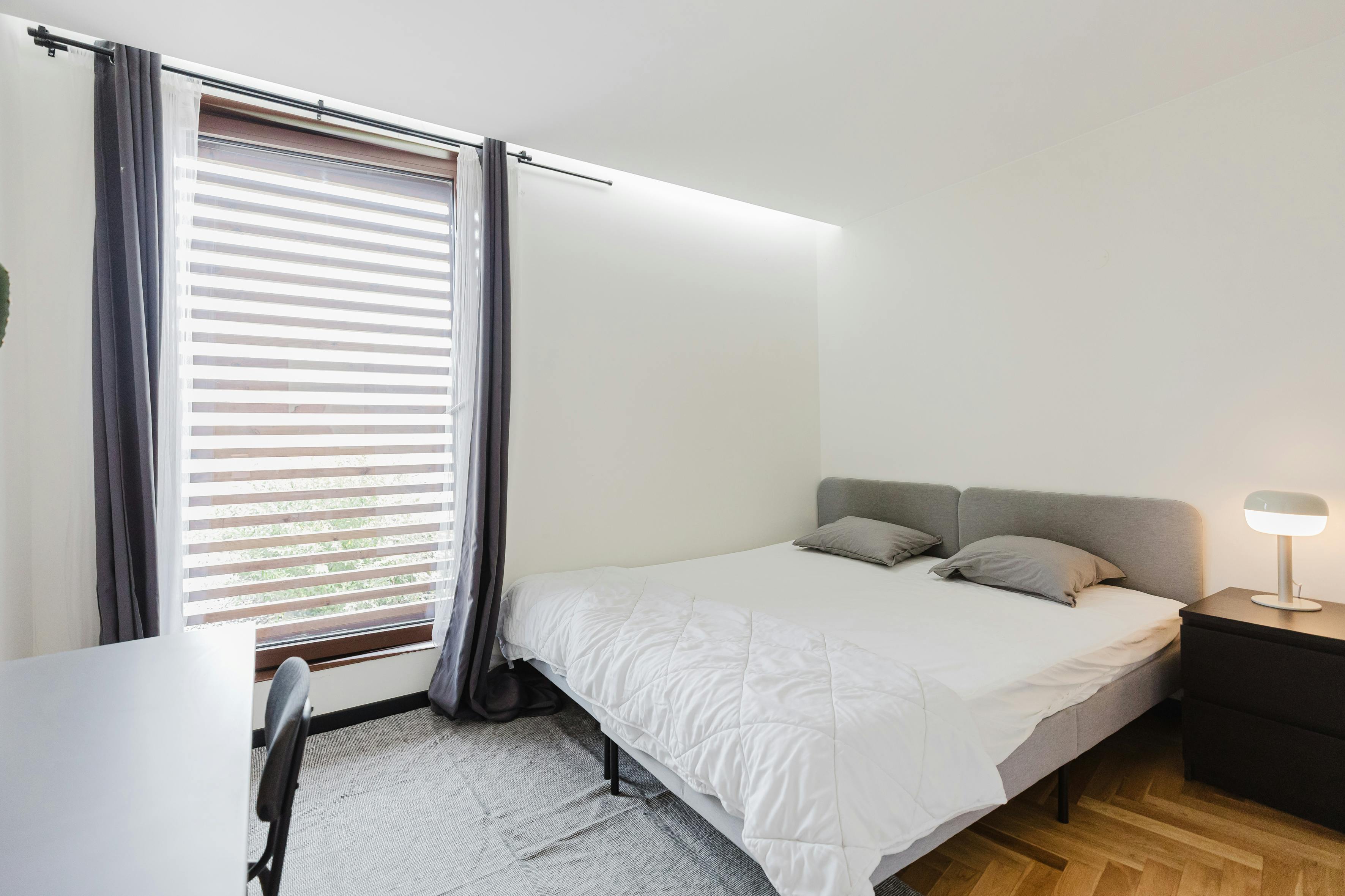 Rua do Pico, Porto preview