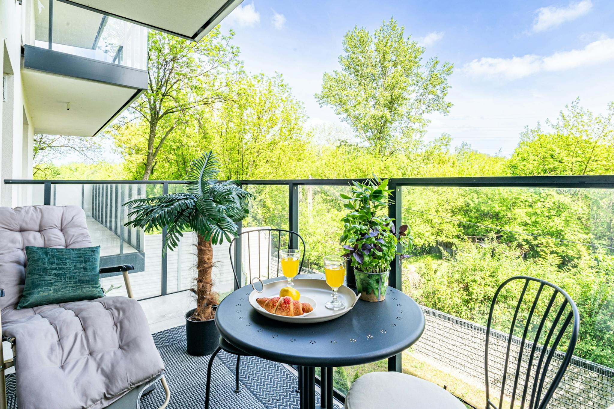 Zwierzyniecka, Warsaw preview