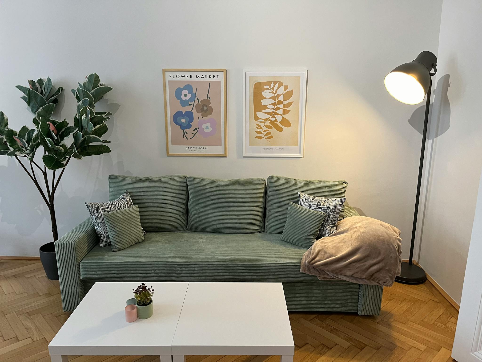 Zenogasse, Vienna preview