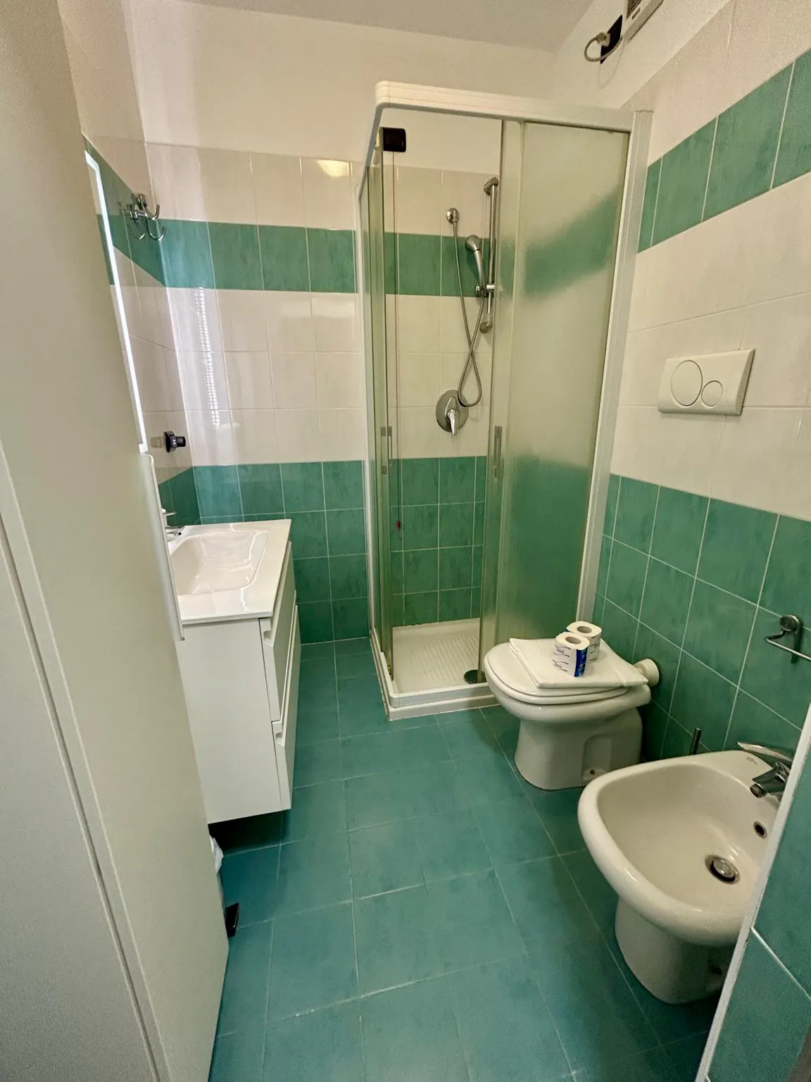 1-Bedroom Apartment in Via dei Carafa, Milan (1657304) ROOM 4