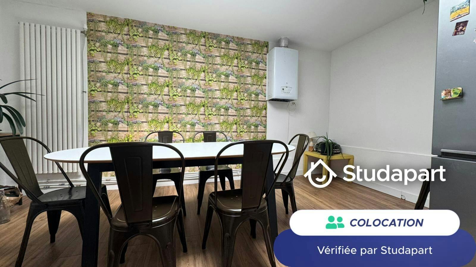 Private room for rent on Rue Druelle, Lille - Plus