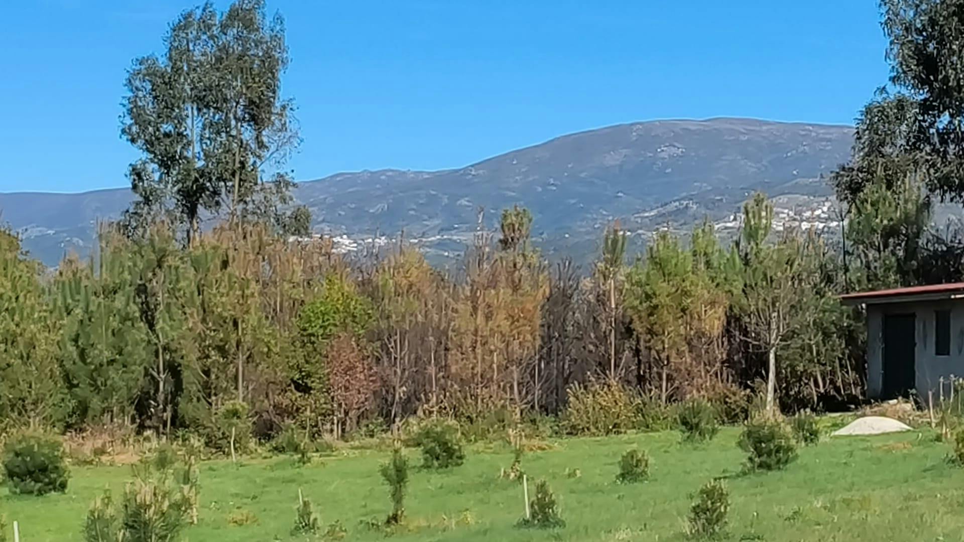 Habitación privada en alquiler por 650 € al mes en Rebordosa, Rua de Fijô de Cima