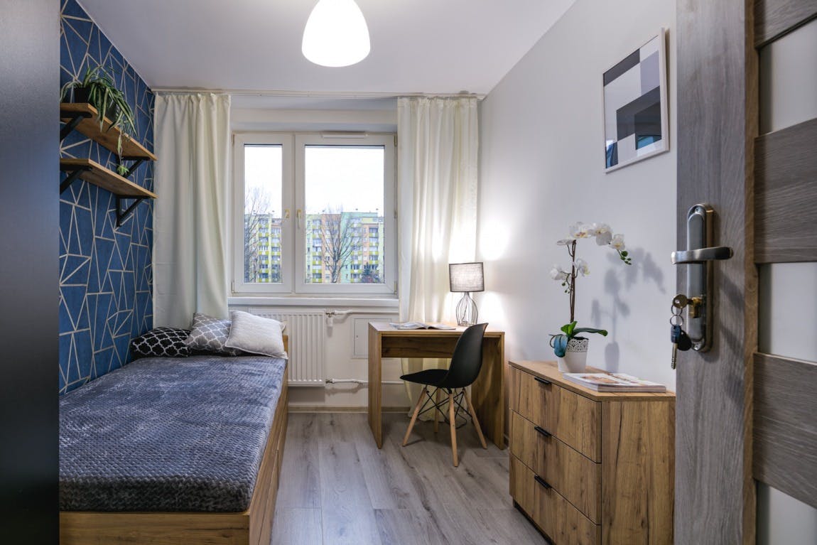 Czumy, Warsaw preview