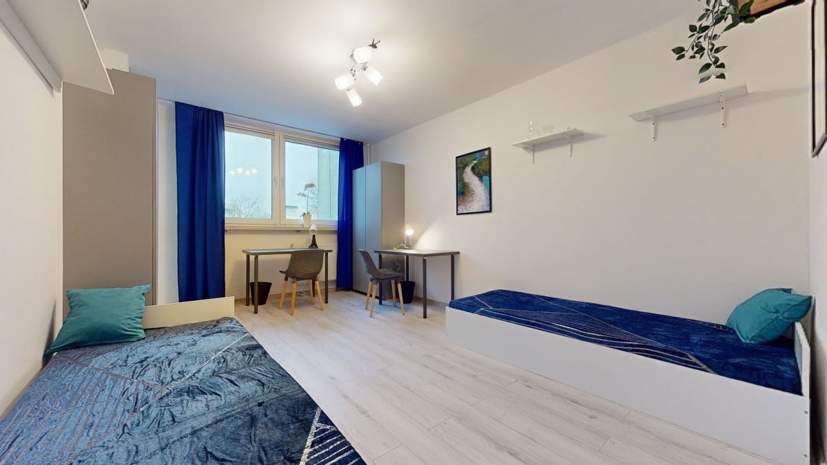 Aleksandra Gajkowicza, Warsaw preview