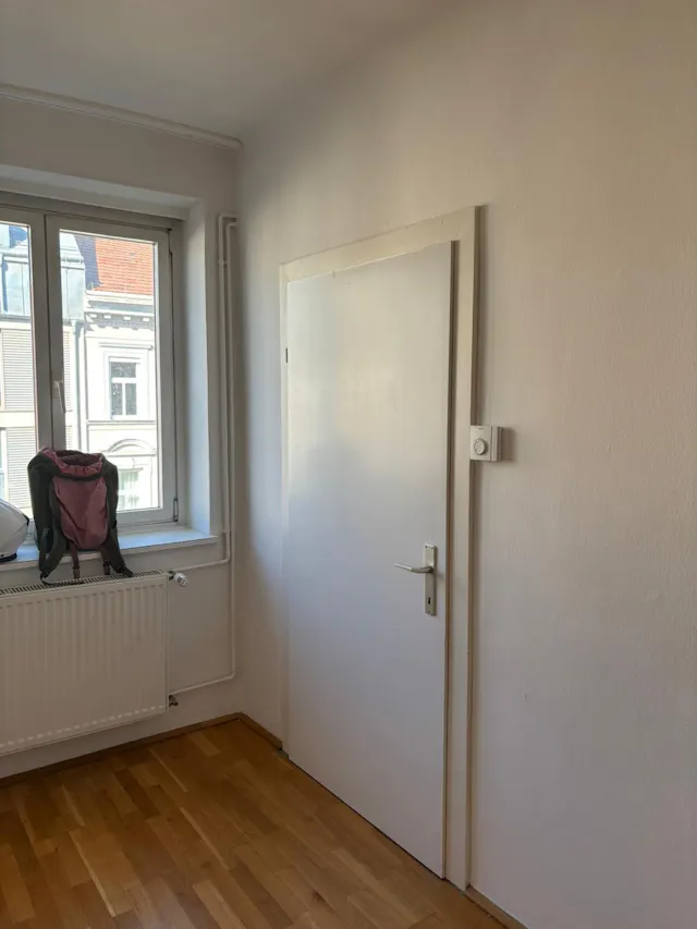 1-Bedroom Apartment in Burghardtgasse, Vienna (1658341) room image 2
