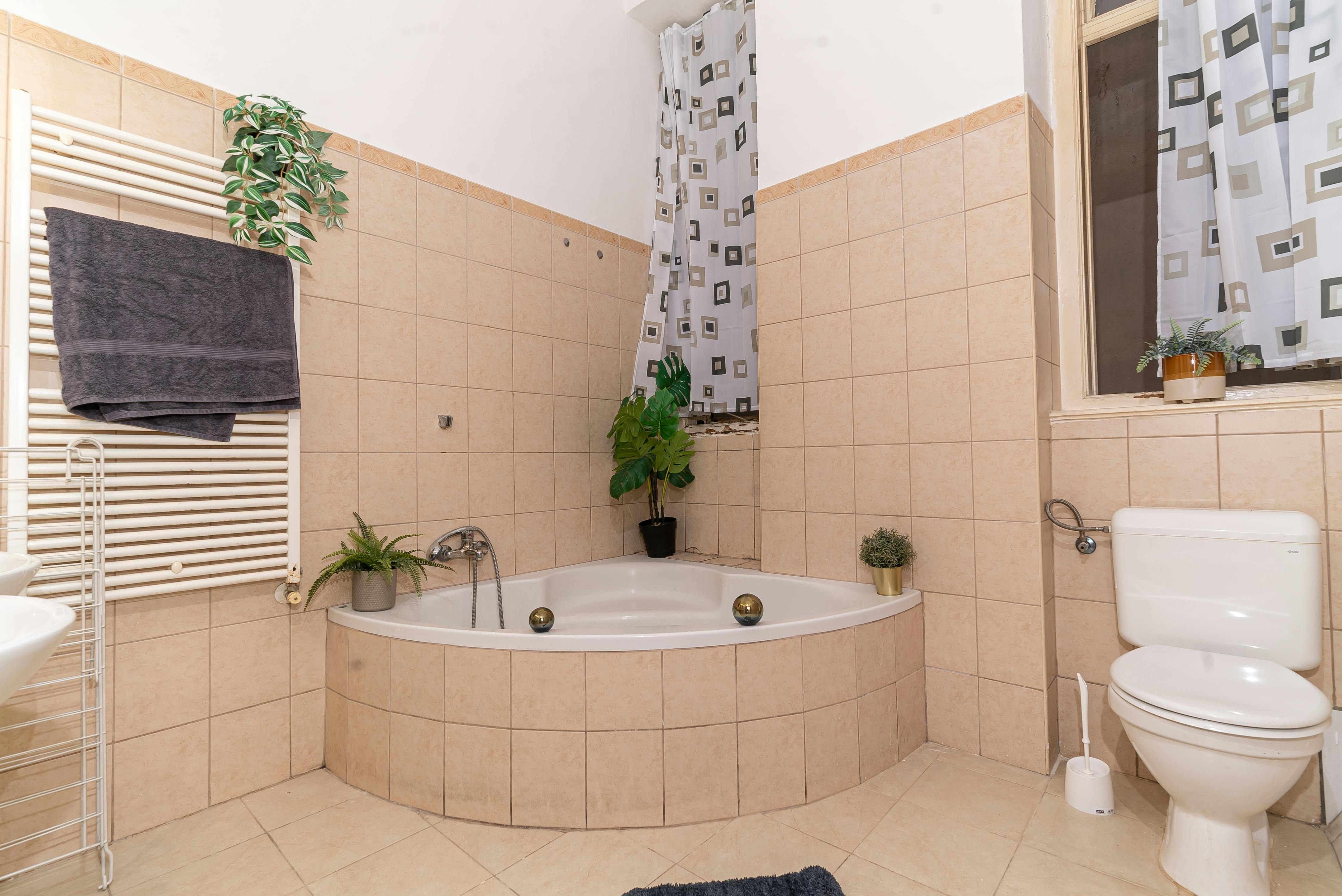 Single room Budapest, 1 bed, 19m² — photo 3