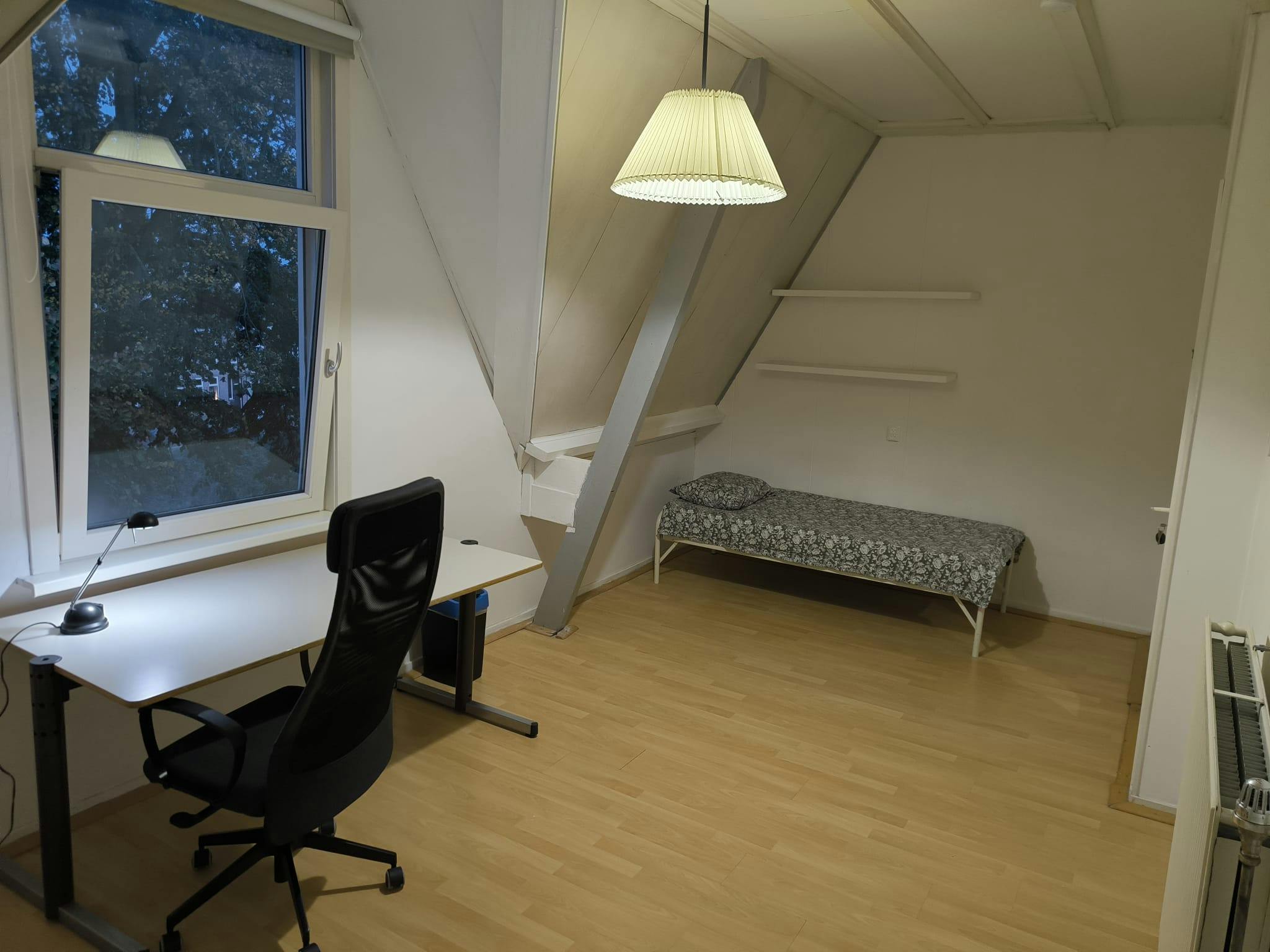 WG-Zimmer zu mieten für 980 € pro Monat in Breda, Generaal van Hamsingel